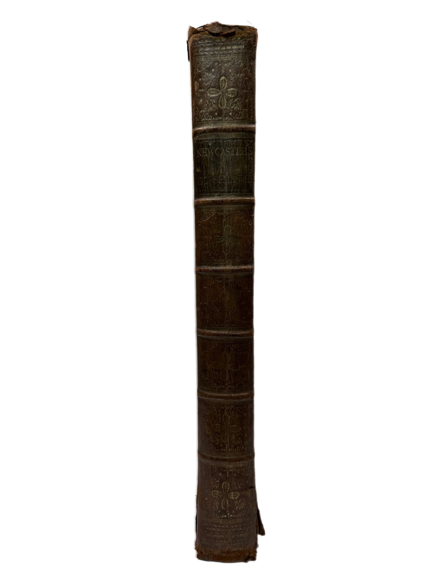 A General System of Horsemanship by William Cavendish 1743 First English Edition