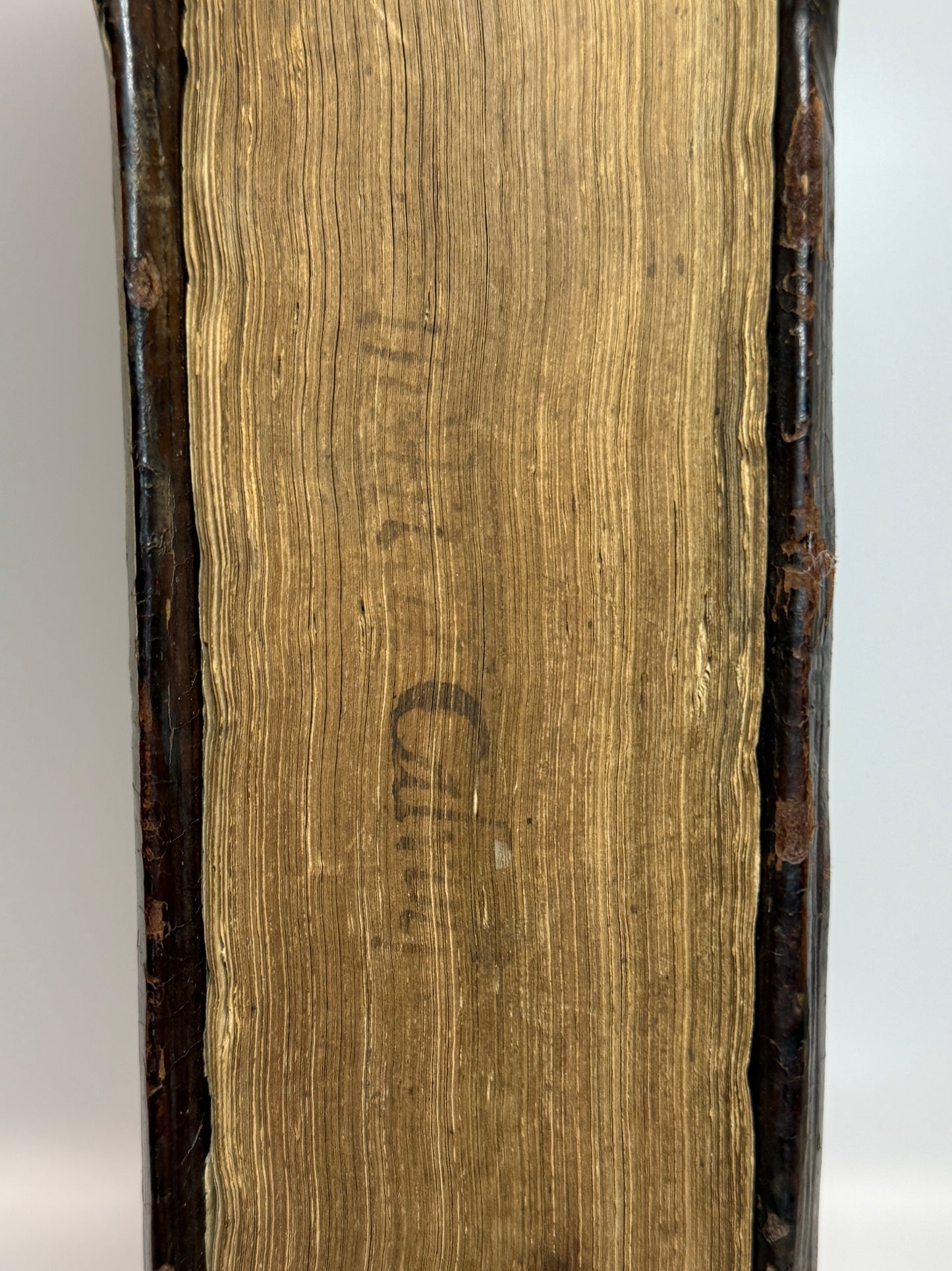 The Institution of the Christian Religion by John Calvin 1561