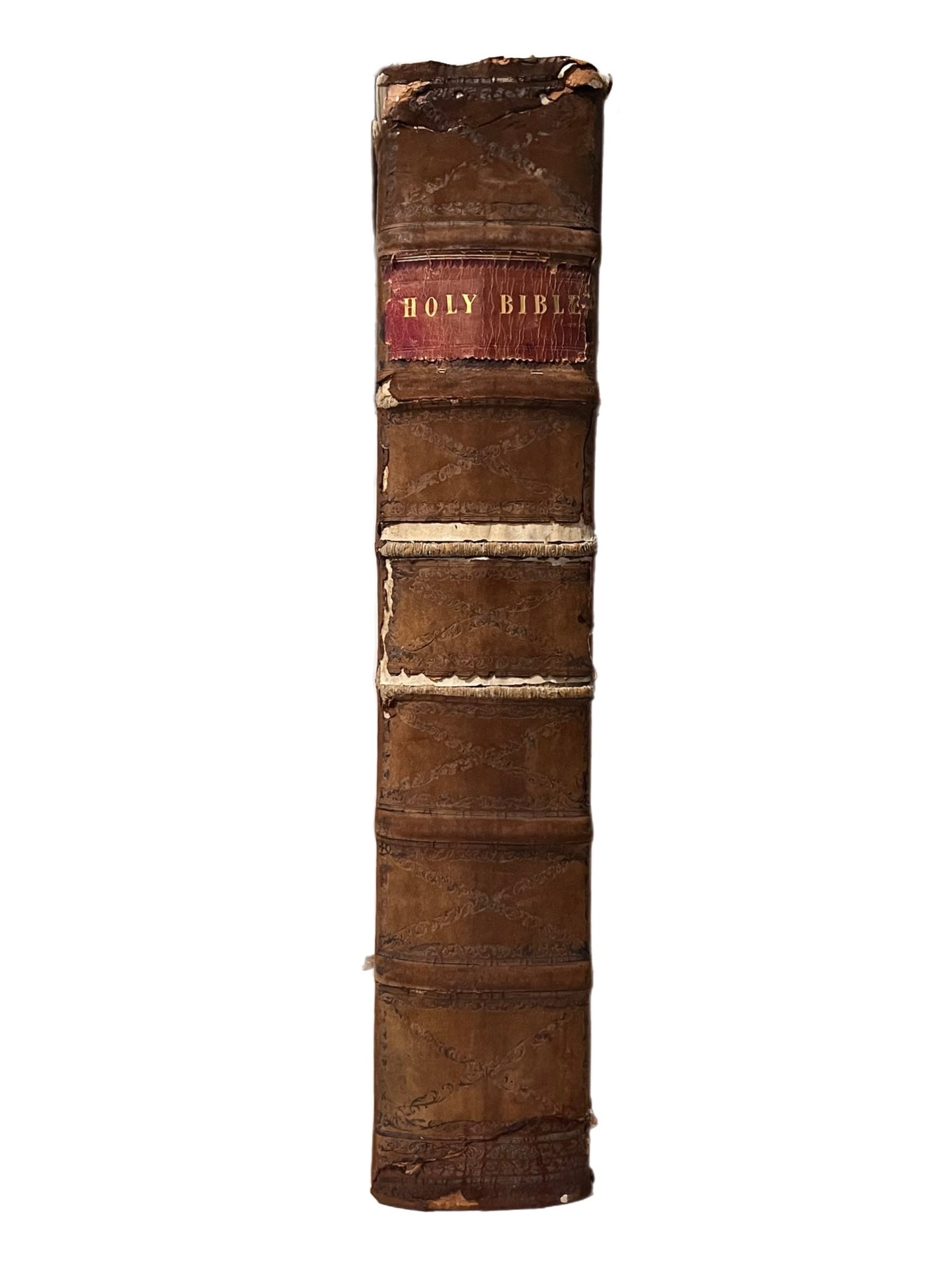 The Vinegar Bible 1716-1717 John Baskett