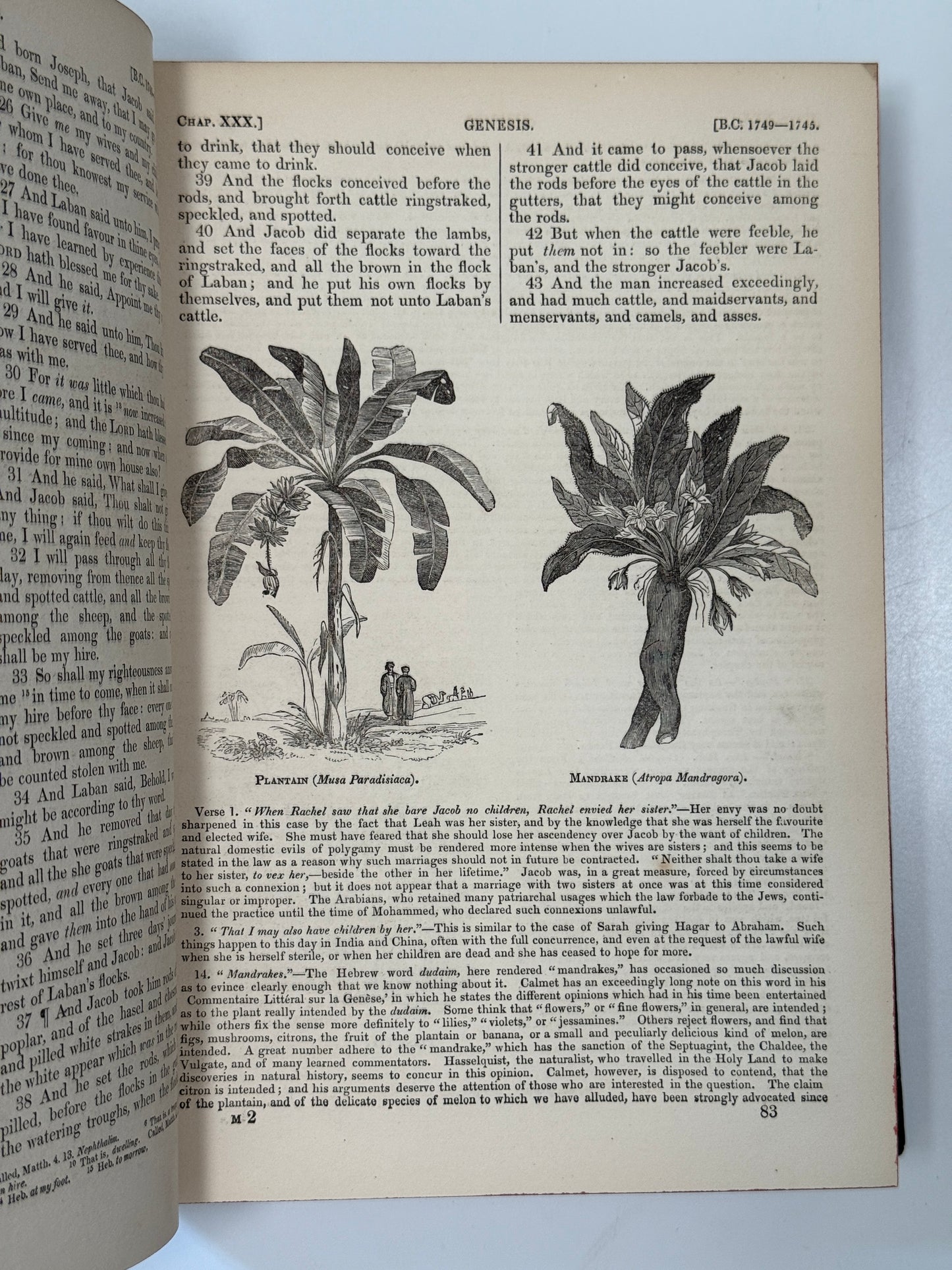 Antique King James Bible 1836