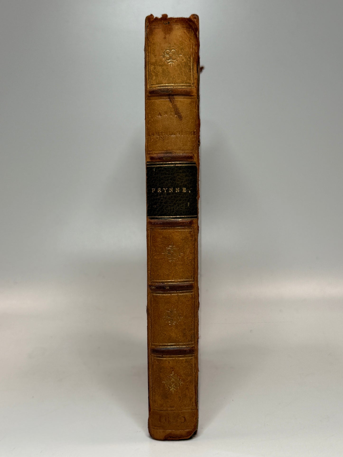 Anti-Arminianism by William Prynne 1630