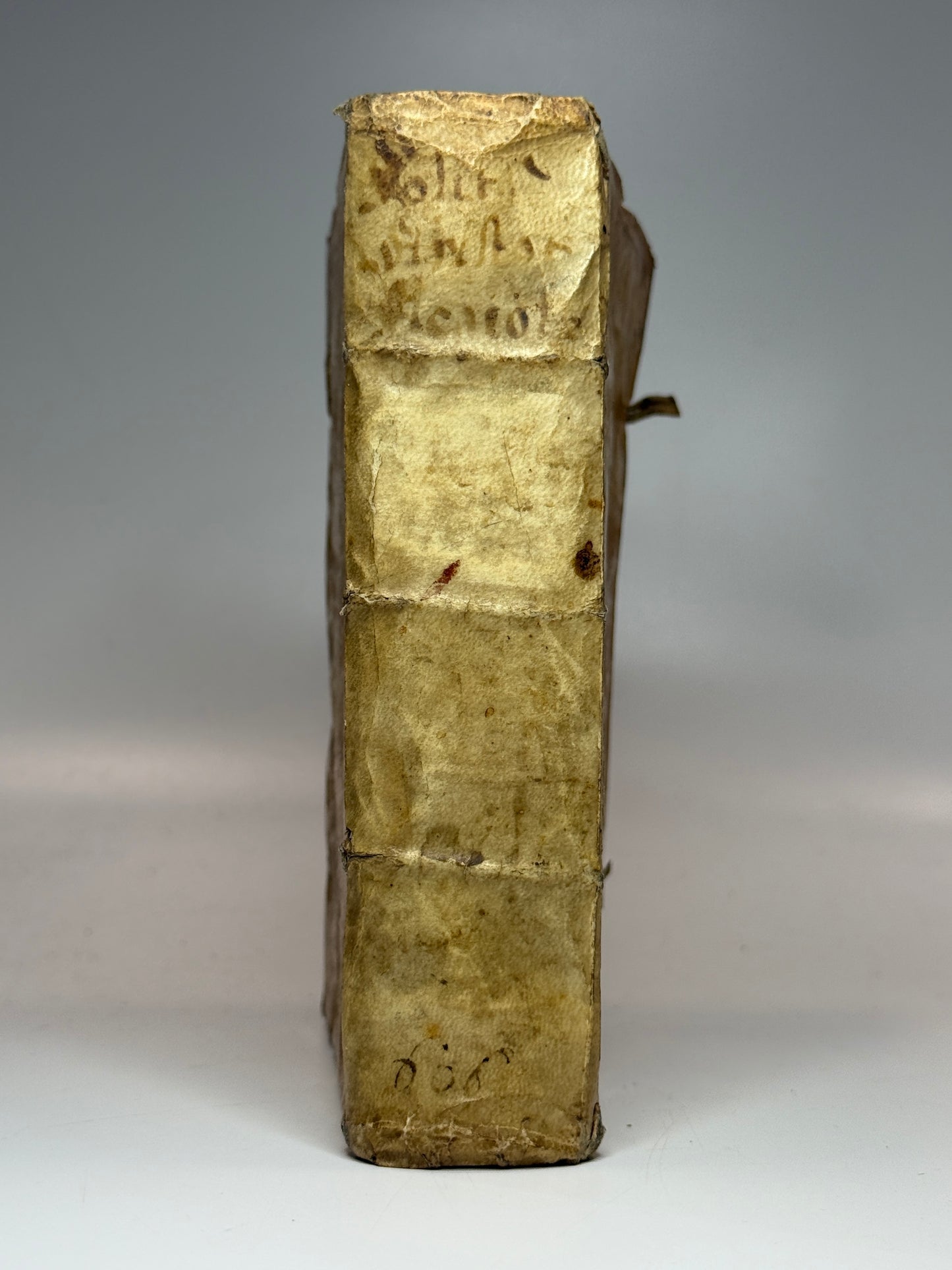 Acciaioli's Commentary on Aristotle's Politics 1566
