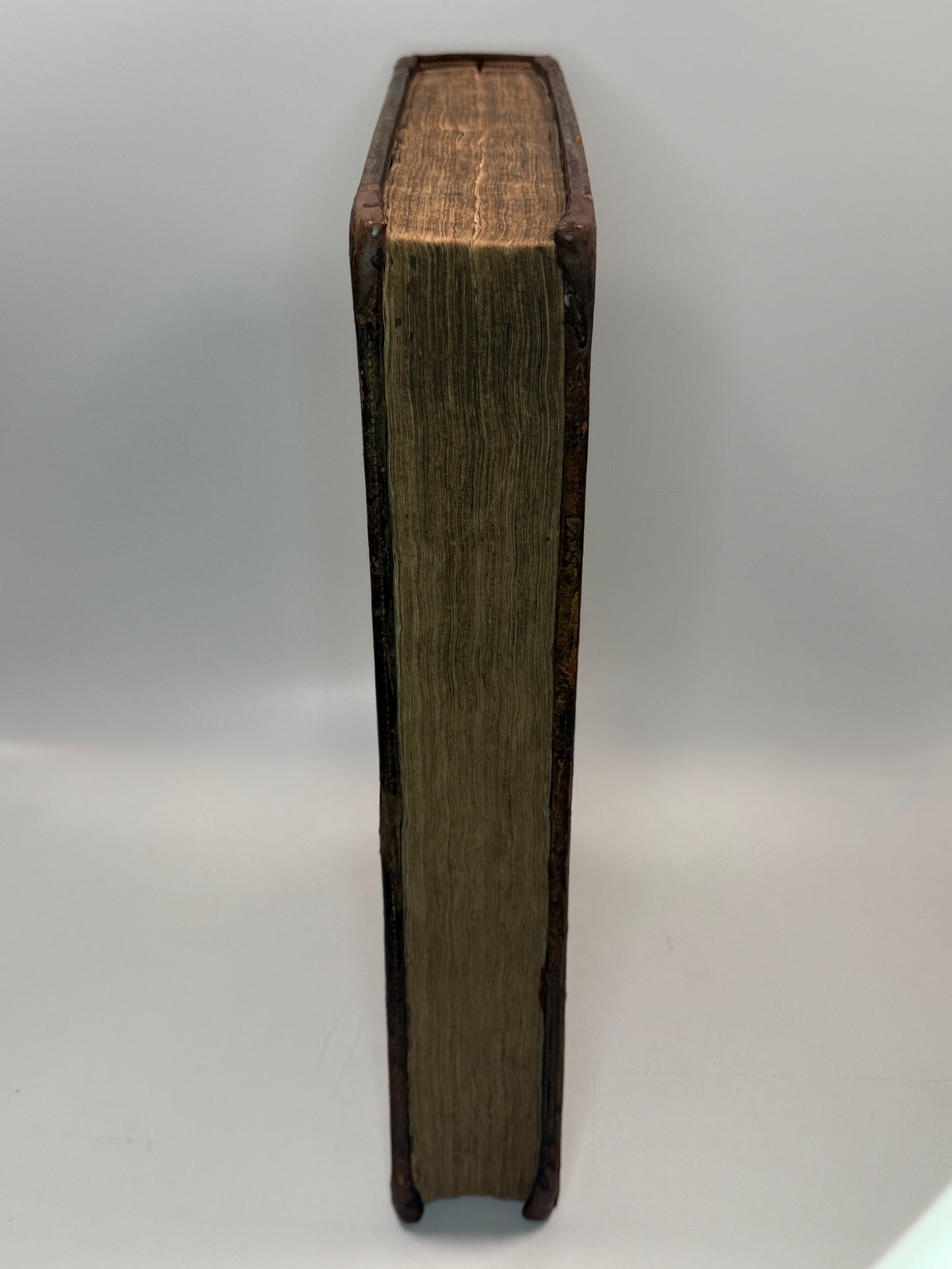 John Foxe's Book of Martyrs 1732