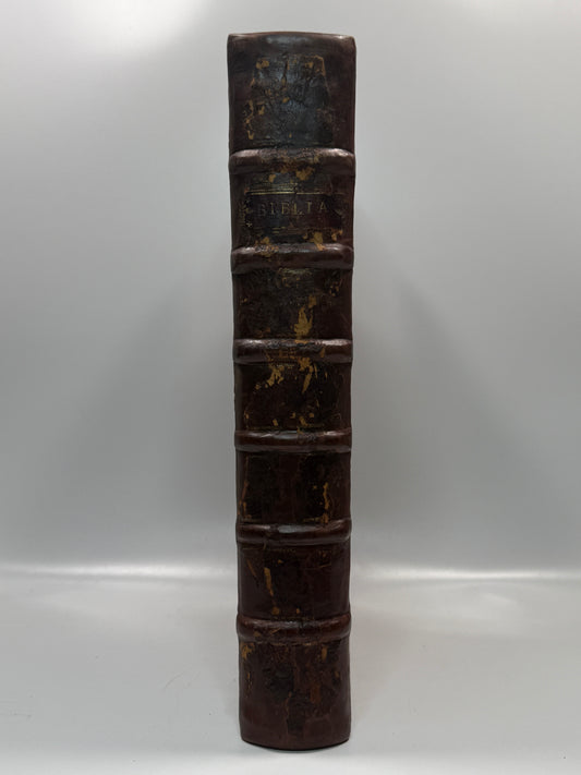 1515 Biblia Latina: Sacon/Koberger Imprint: Hand Coloured Folio