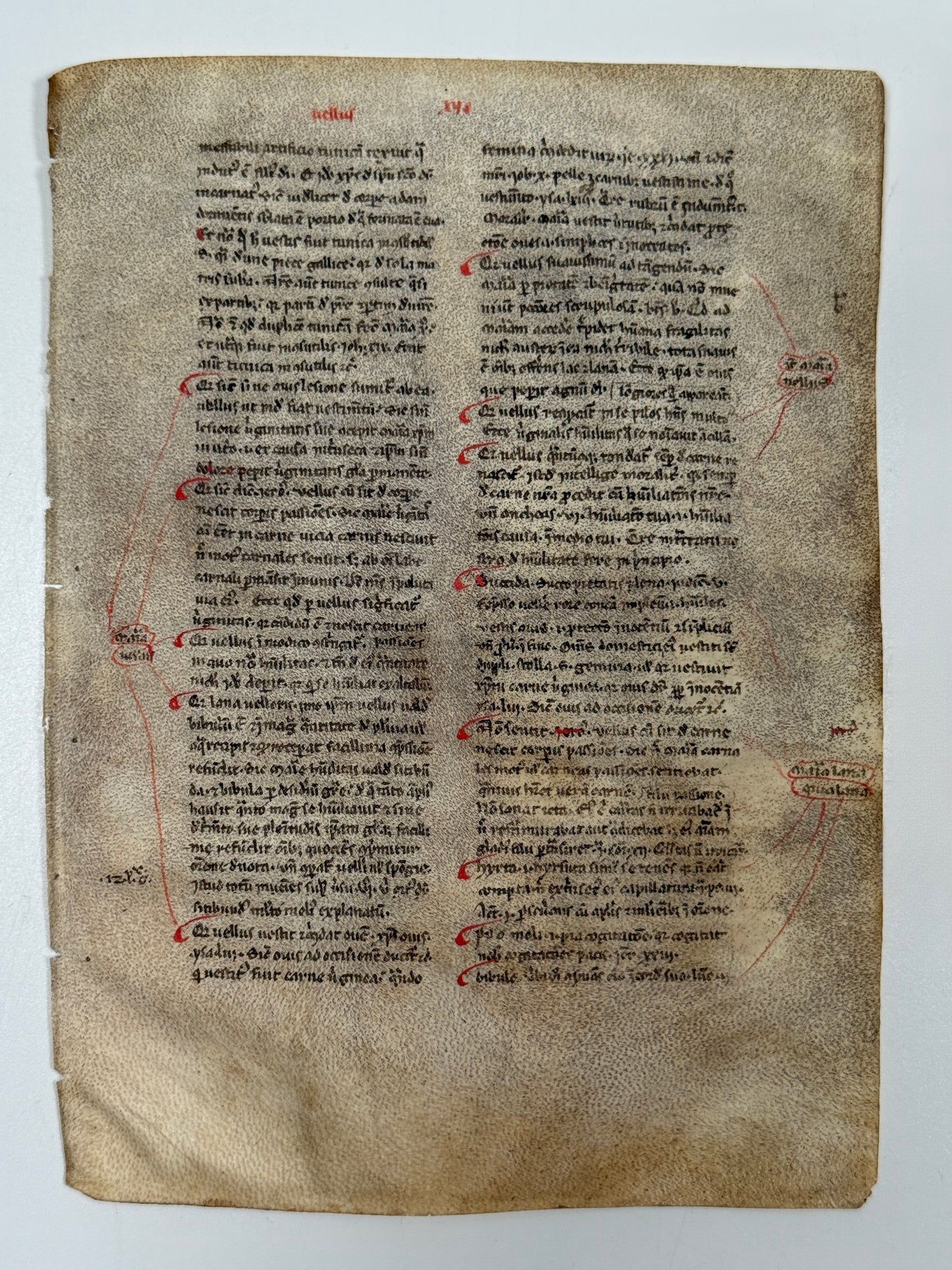 A Collection of Medieval Manuscripts, c.1200s-1400s, Finely Rubricated - 10 MSS