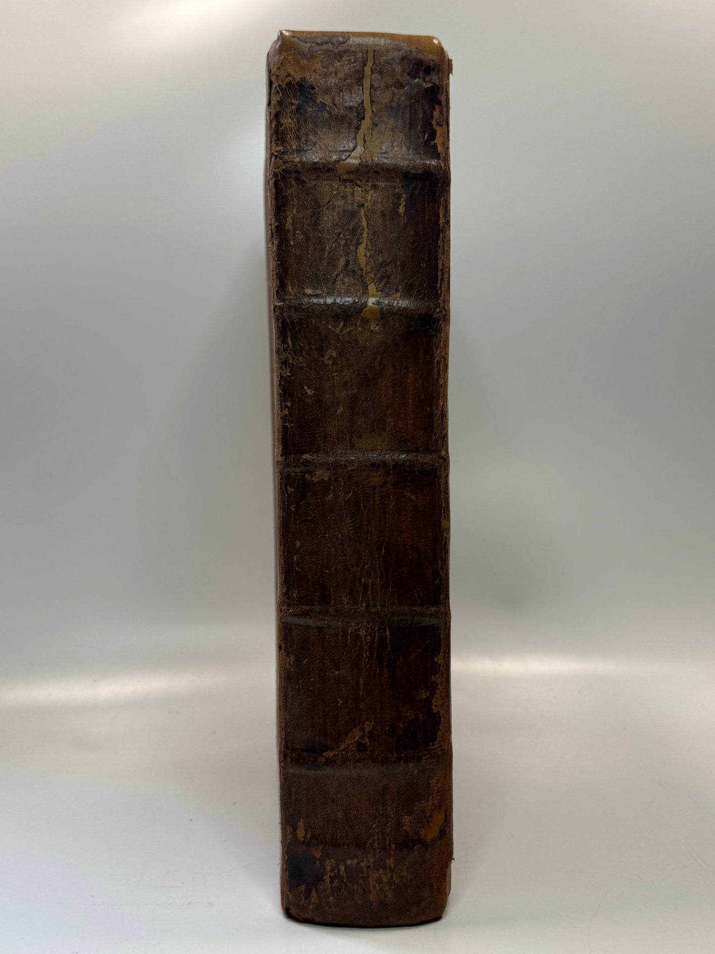 Josephus Antiquiatum Judaicarum 1540 Froben Press