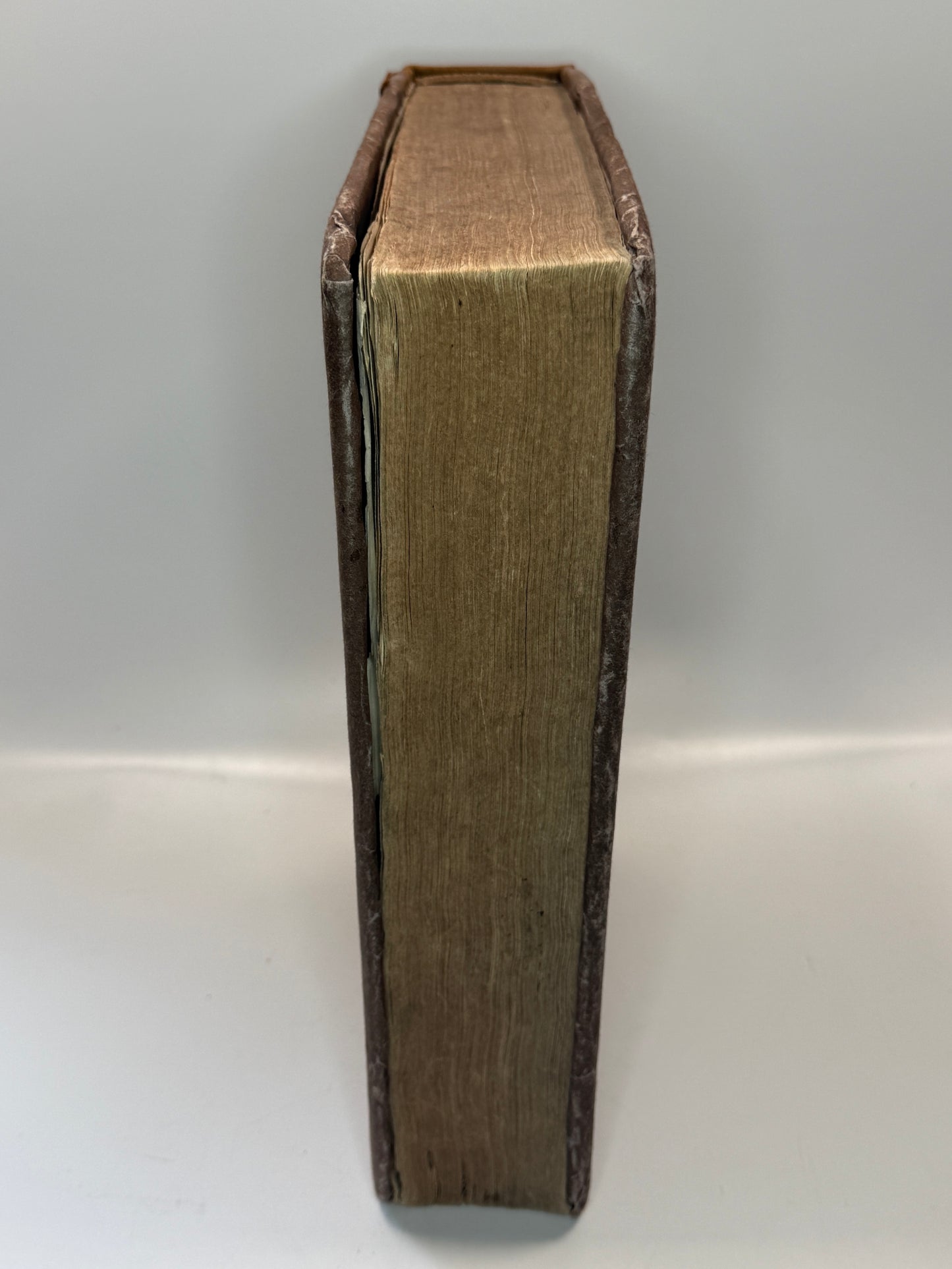Josephus Antiquiatum Judaicarum 1540 Froben Press