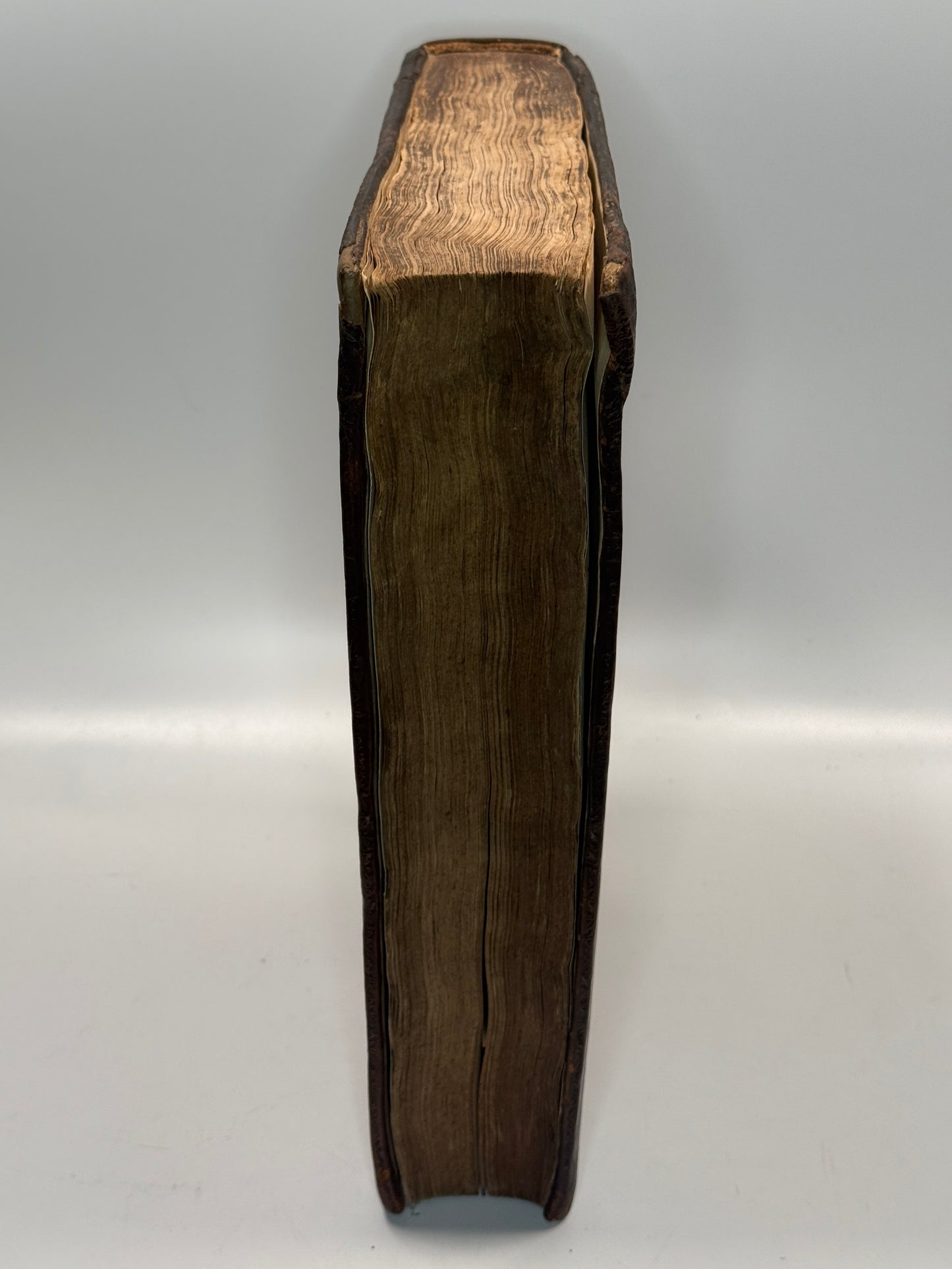 Edward Stillingfleet on Protestantism 1665 First Edition