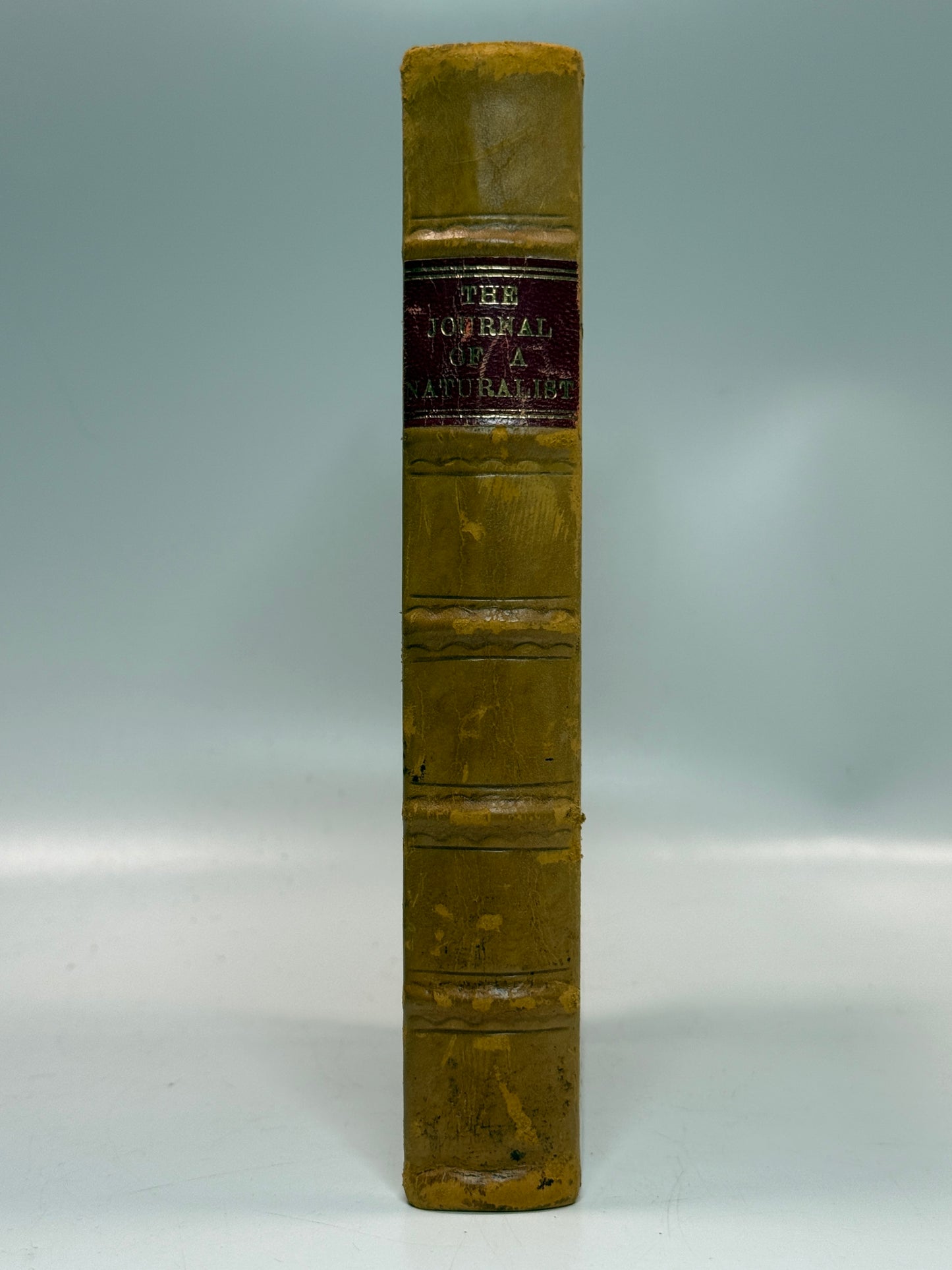 The Journal of a Naturalist by John Knapp 1829 First Edition