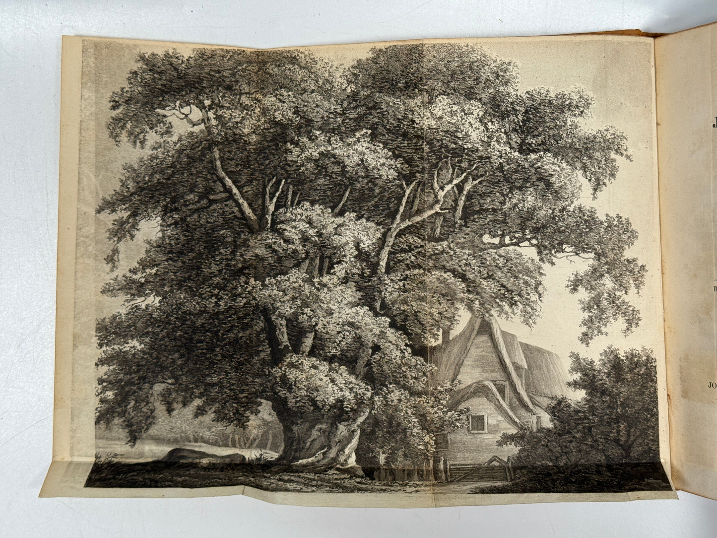 The Journal of a Naturalist by John Knapp 1829 First Edition