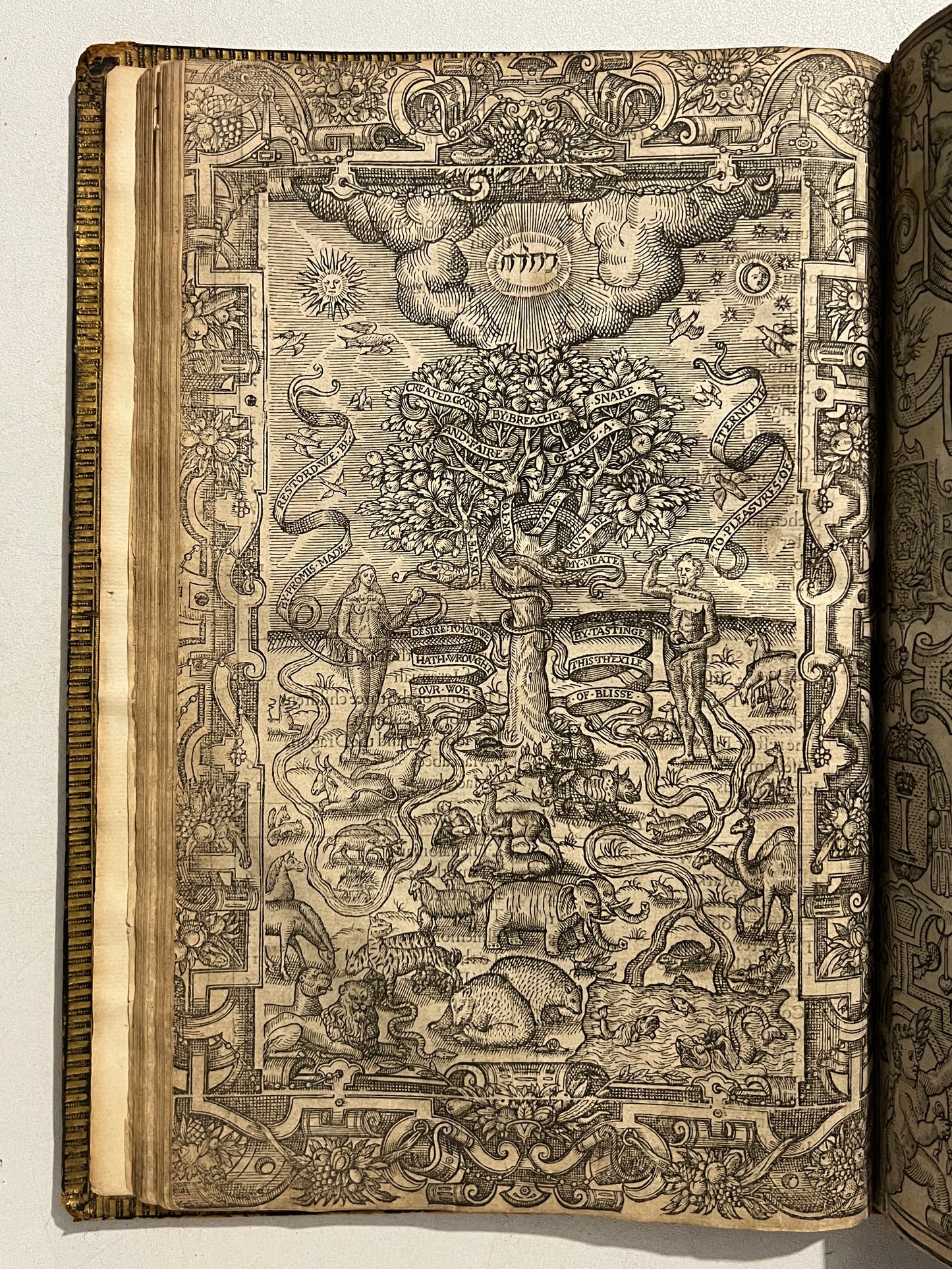1616 Geneva Bible