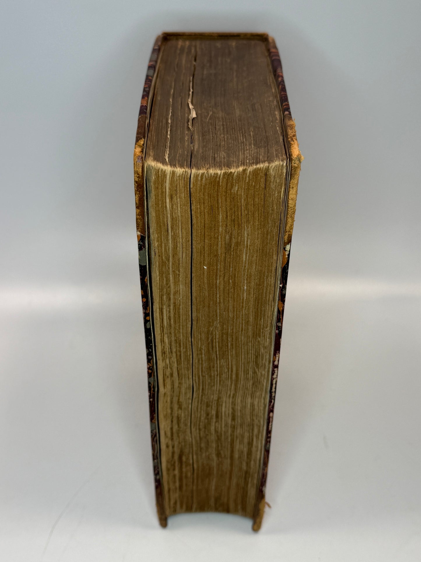 Paterson's Road - Topography by Edward Mogg c.1830