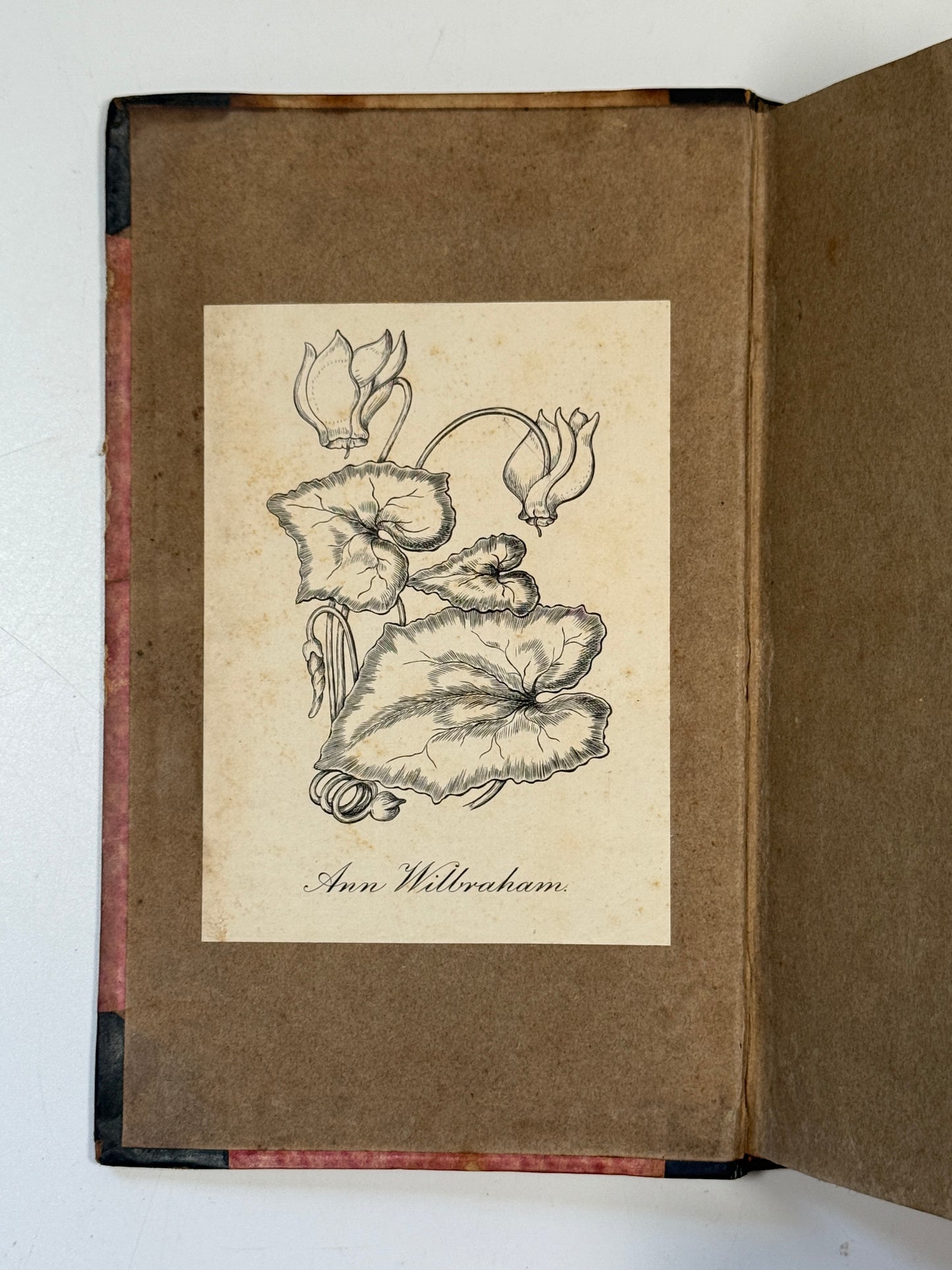 St Ronan's Well by Sir Walter Scott 1824 First Edition