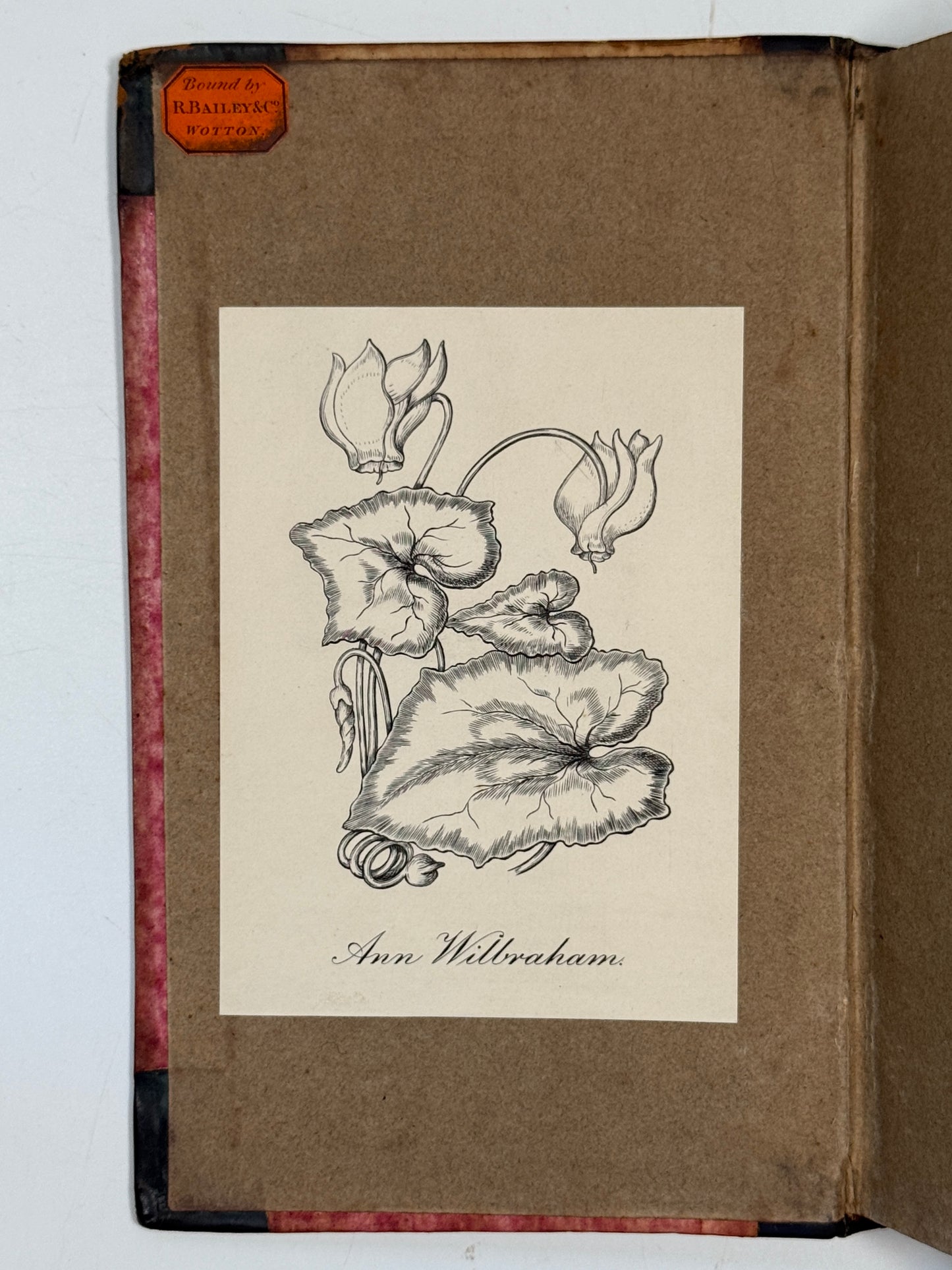 St Ronan's Well by Sir Walter Scott 1824 First Edition