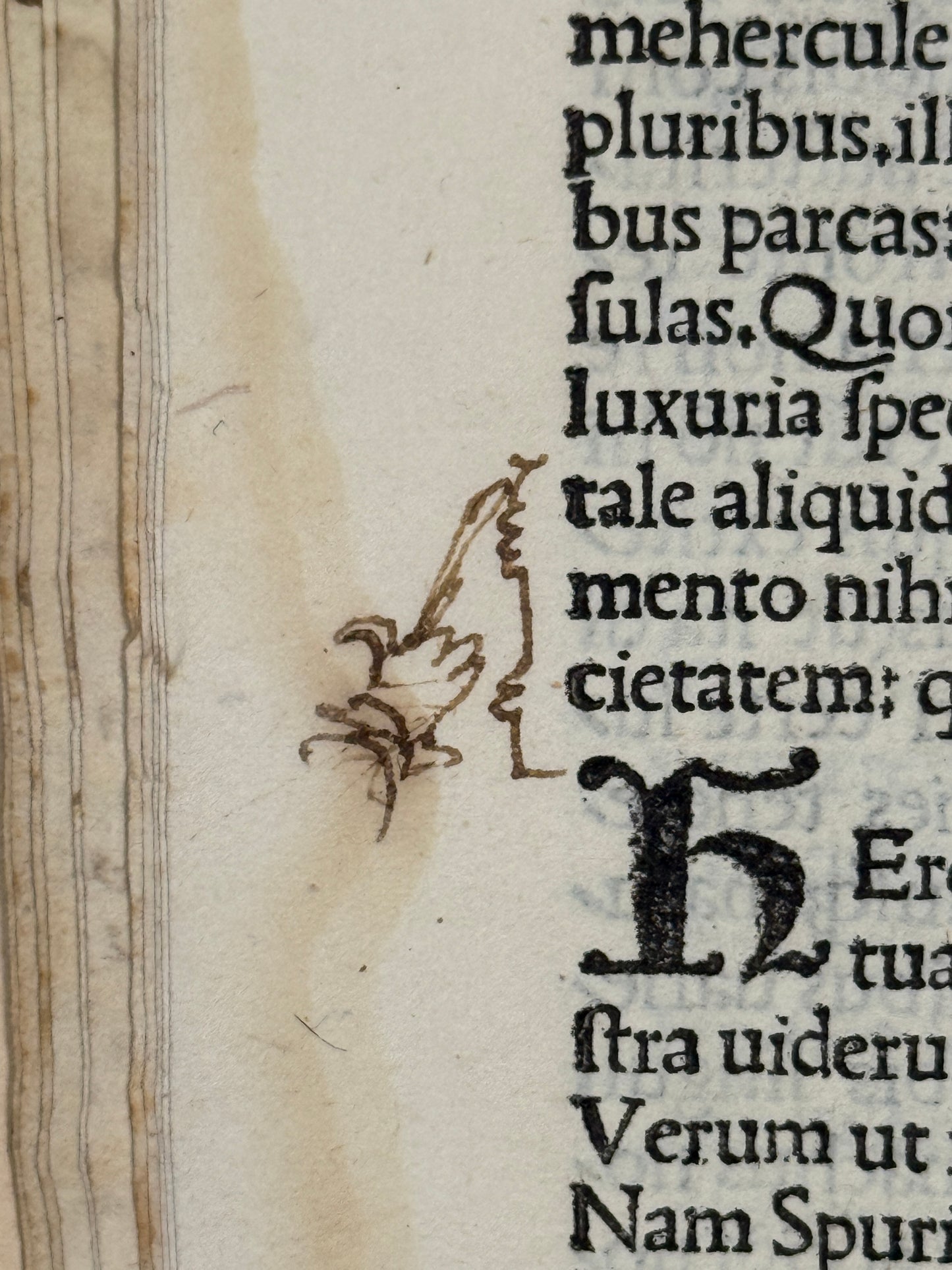 1501 Letters of Pliny the Younger