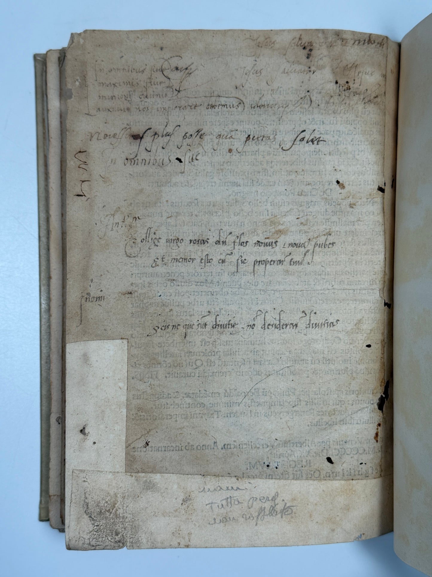 1501 Letters of Pliny the Younger