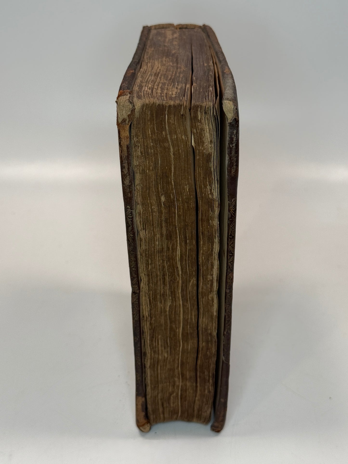 Polyglot New Testament 1684 French, English, Dutch; Triglot