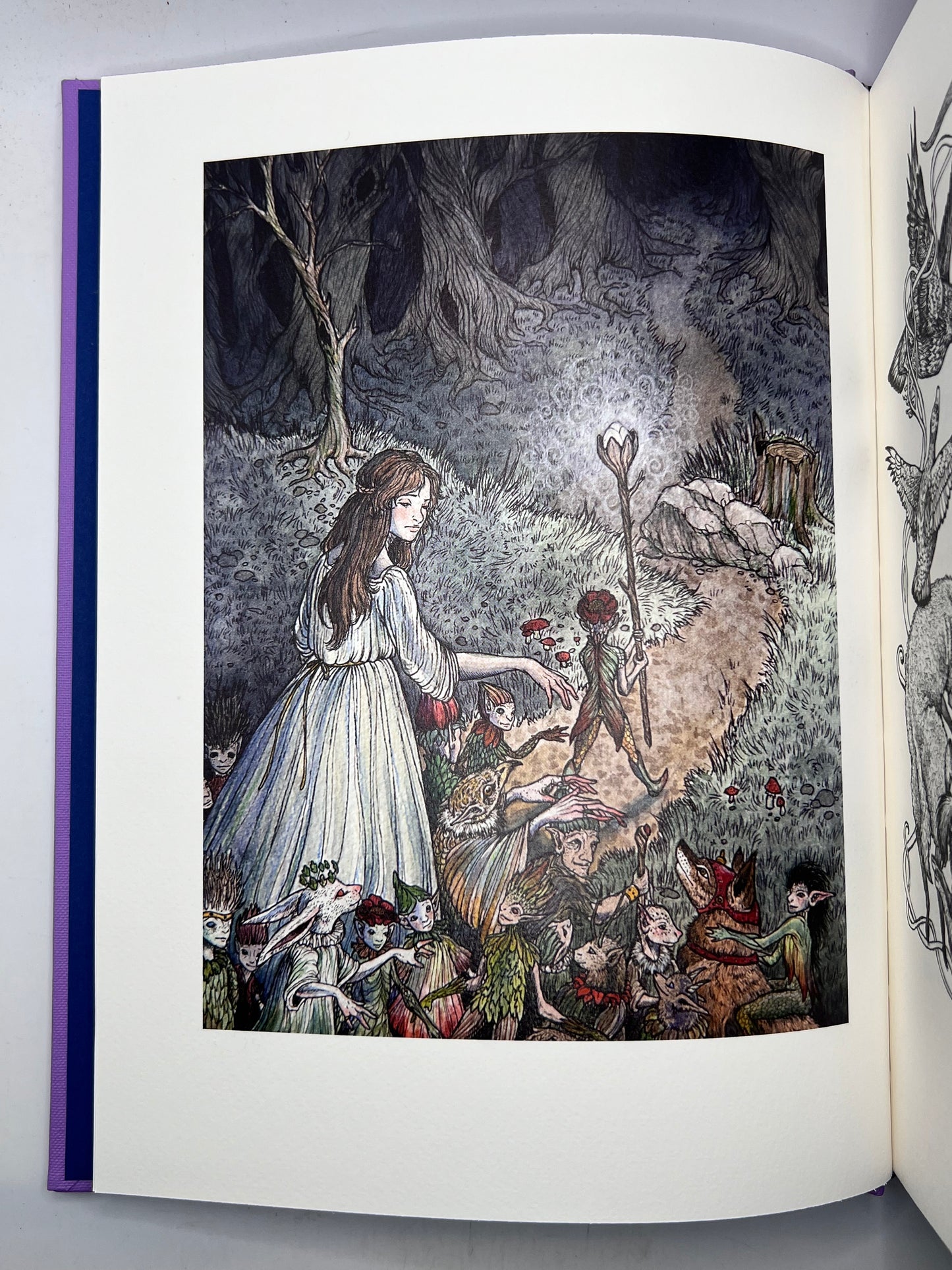 The Andrew Lang Fairy Books; Folio Society 12vols