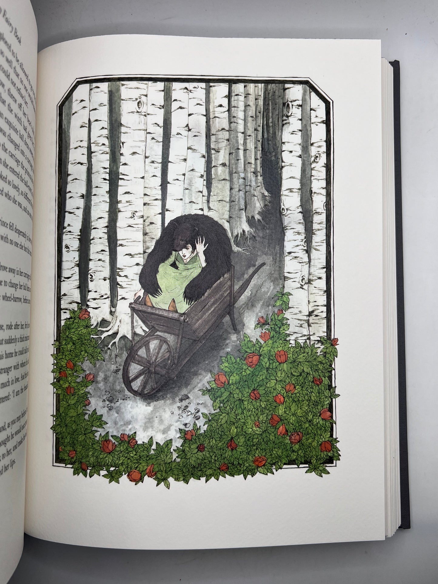 The Andrew Lang Fairy Books; Folio Society 12vols