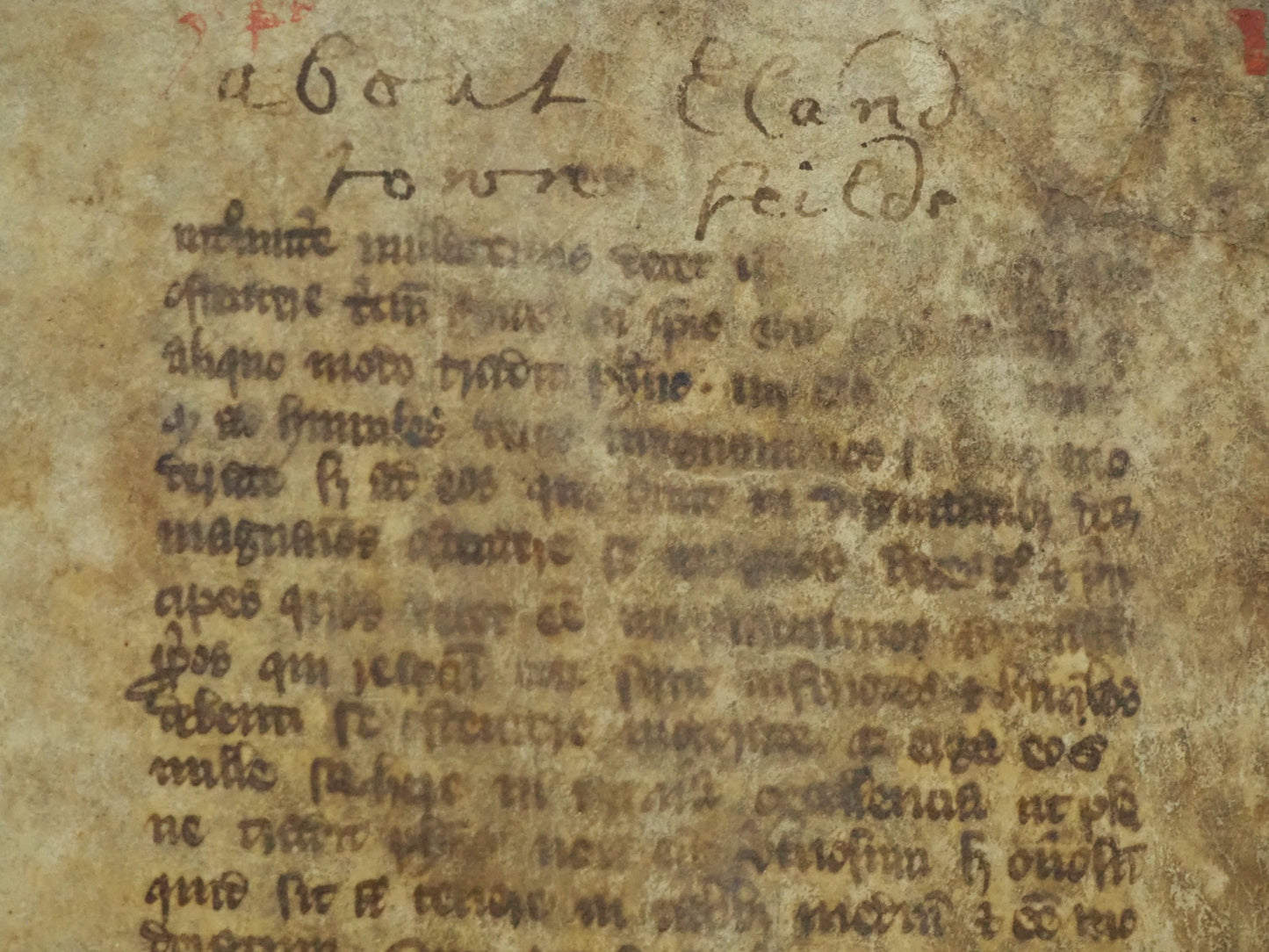 De regimine principum by Giles of Rome, c.1350-1400 Manuscript Bifolium