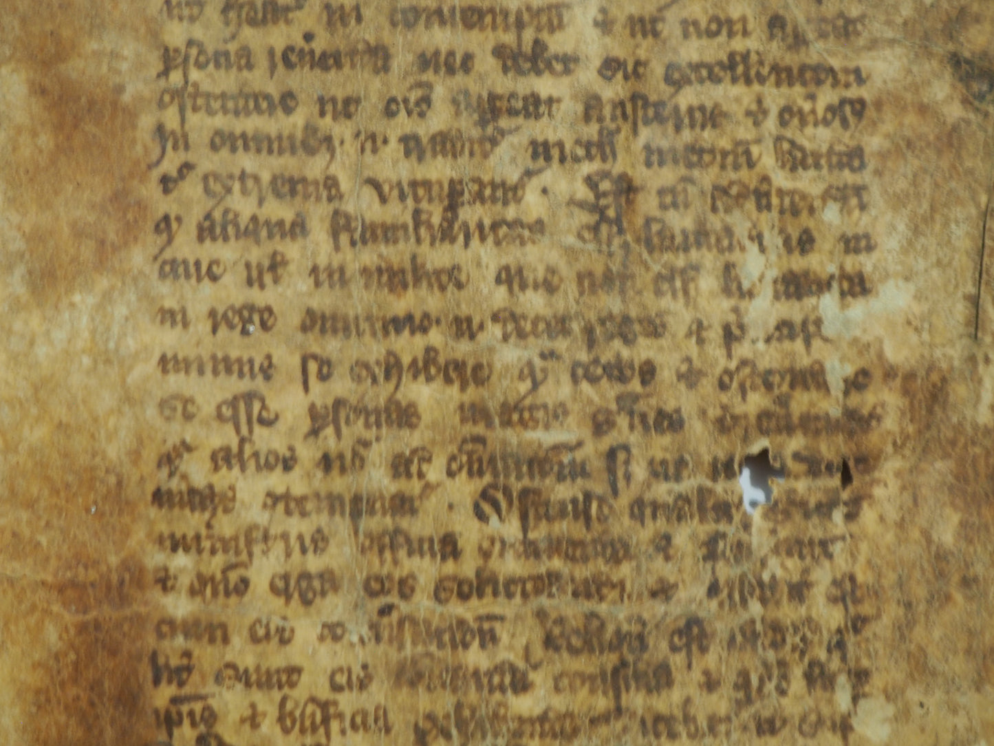 De regimine principum by Giles of Rome, c.1350-1400 Manuscript Bifolium