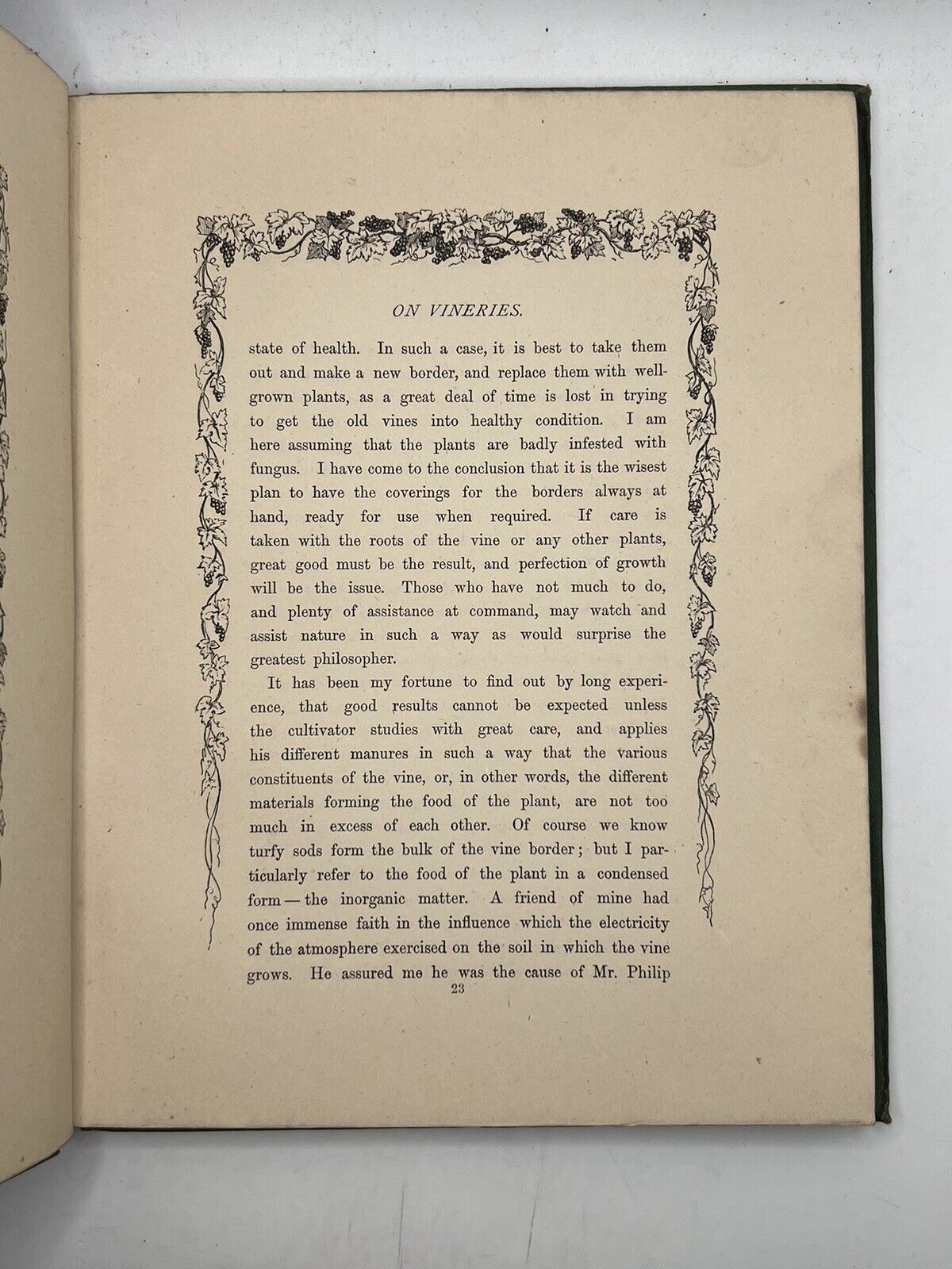 The Grape Vine by Joseph Meredith 1876 First Edition