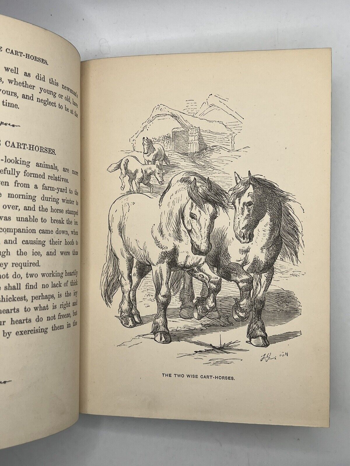 Stories of the Sagacity of Animals by W. Kingston 1892