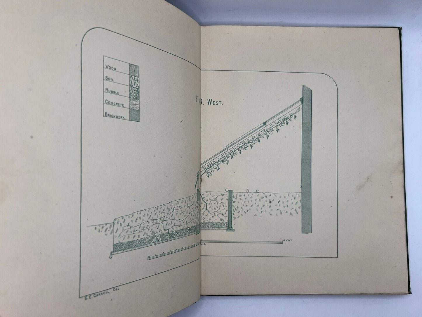 The Grape Vine by Joseph Meredith 1876 First Edition