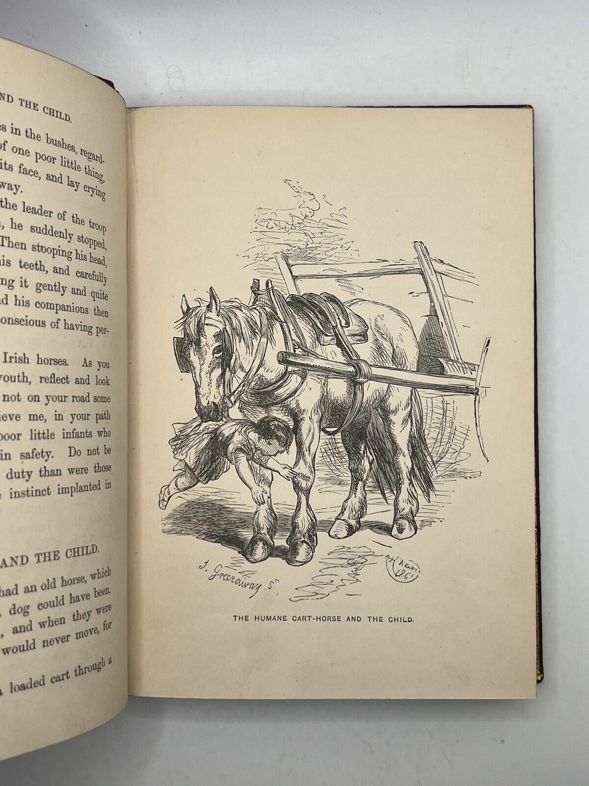 Stories of the Sagacity of Animals by W. Kingston 1892