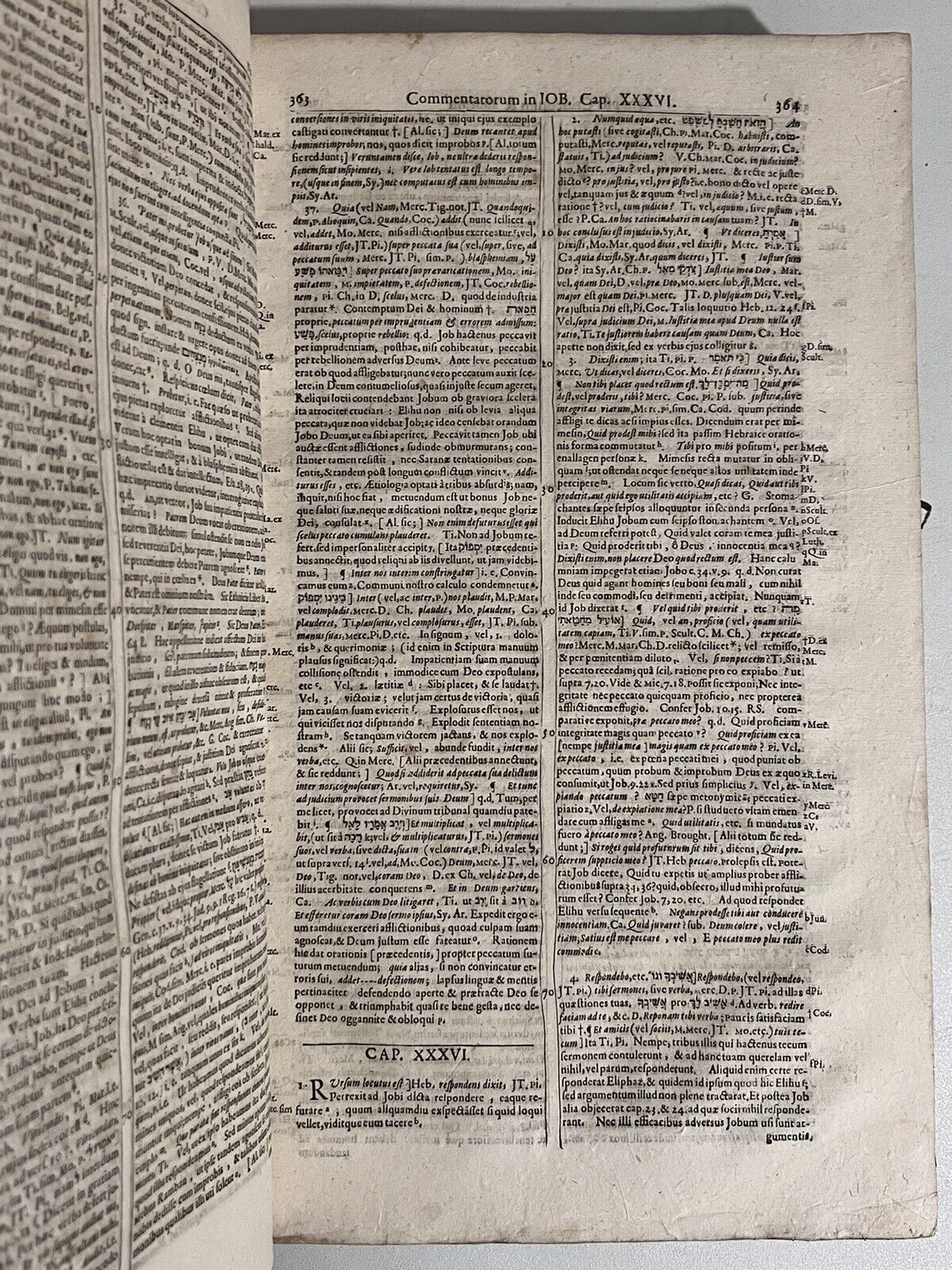 Matthew Poole's Commentary on the Bible 1678