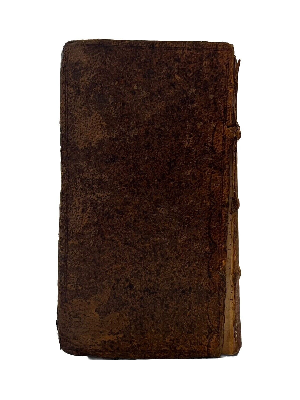 The History of Alexander the Great by Q. Curtius Rufus 1677 Elzevir Press