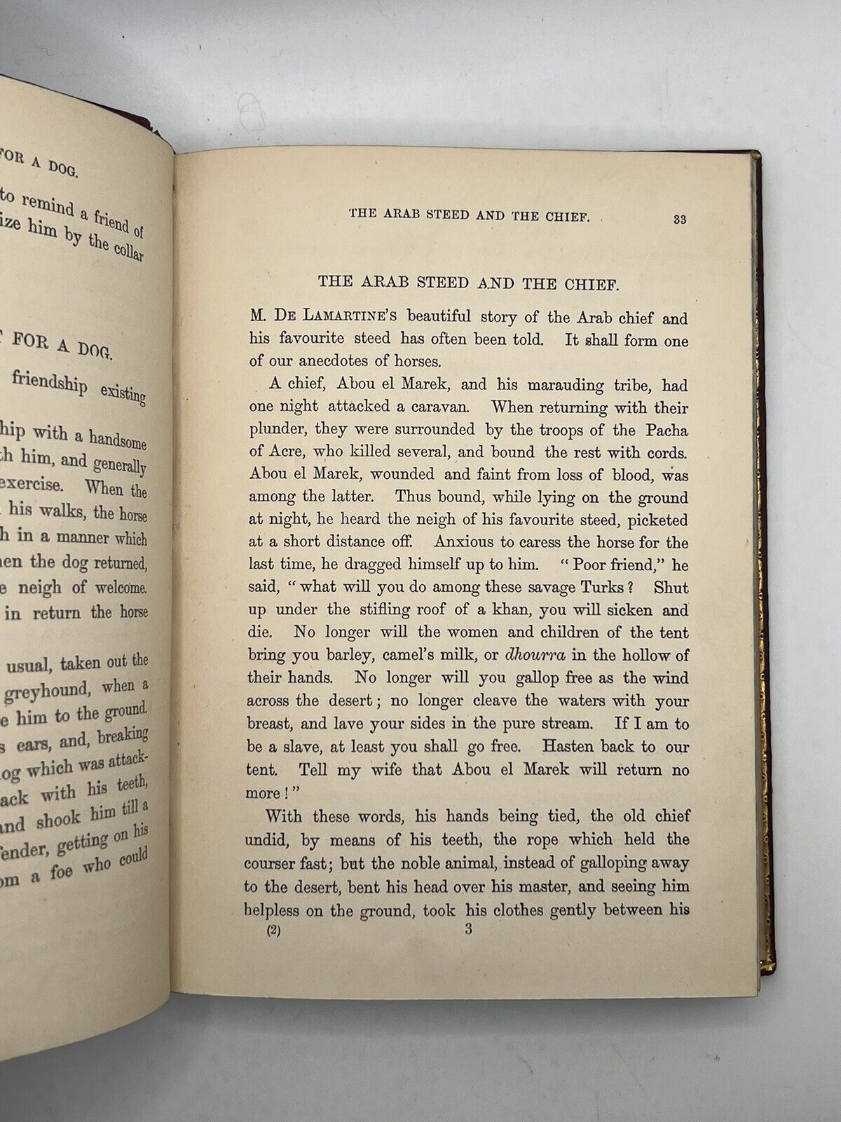 Stories of the Sagacity of Animals by W. Kingston 1892