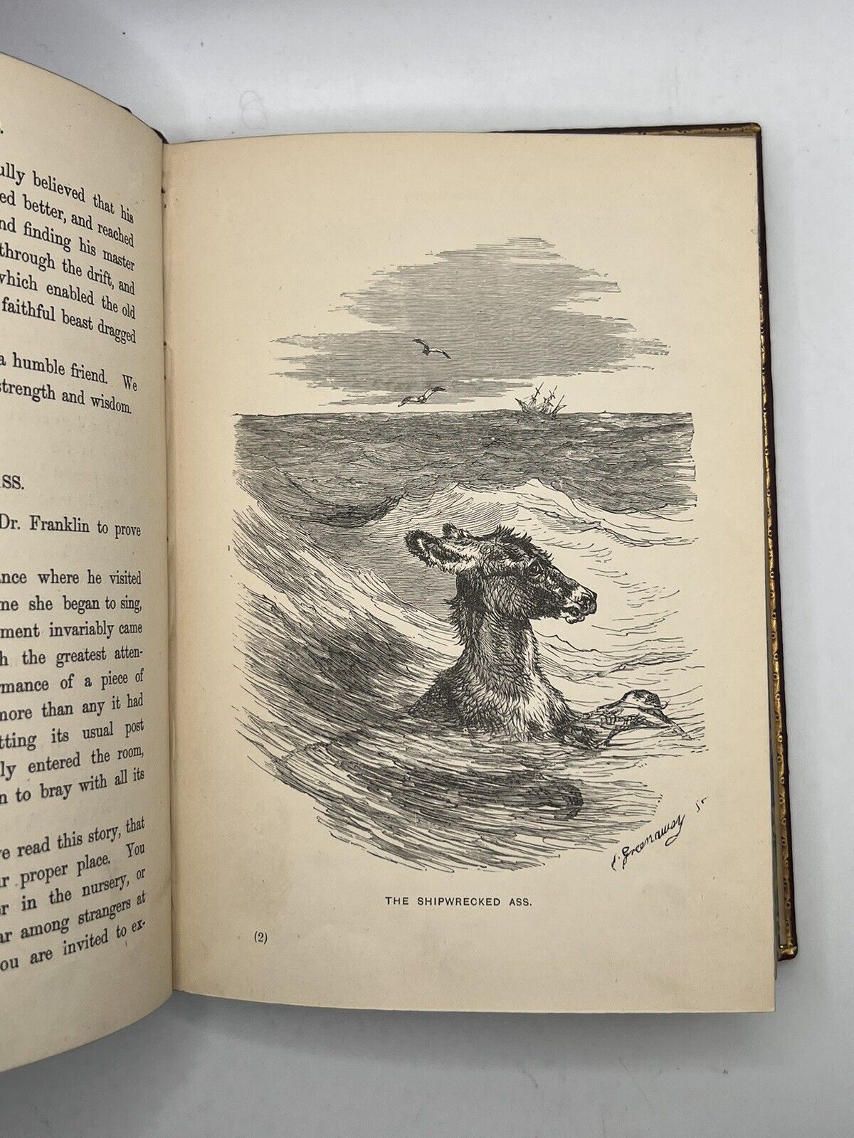 Stories of the Sagacity of Animals by W. Kingston 1892