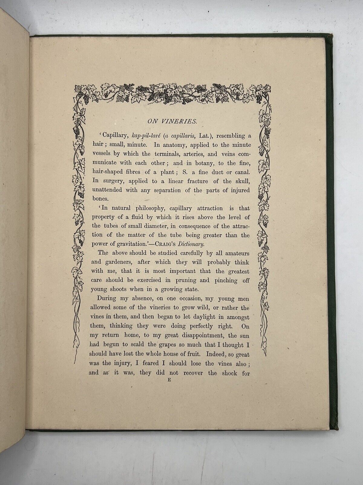 The Grape Vine by Joseph Meredith 1876 First Edition