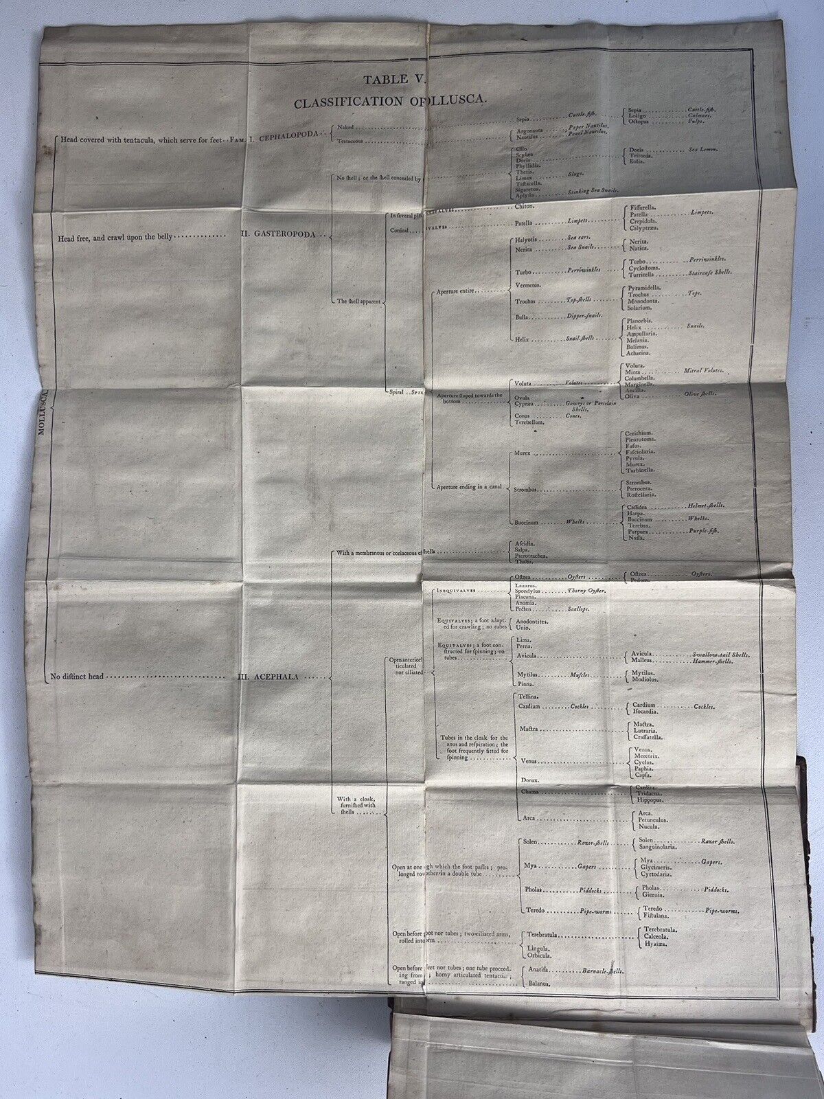 Lectures on Comparative Anatomy by William Ross 1802
