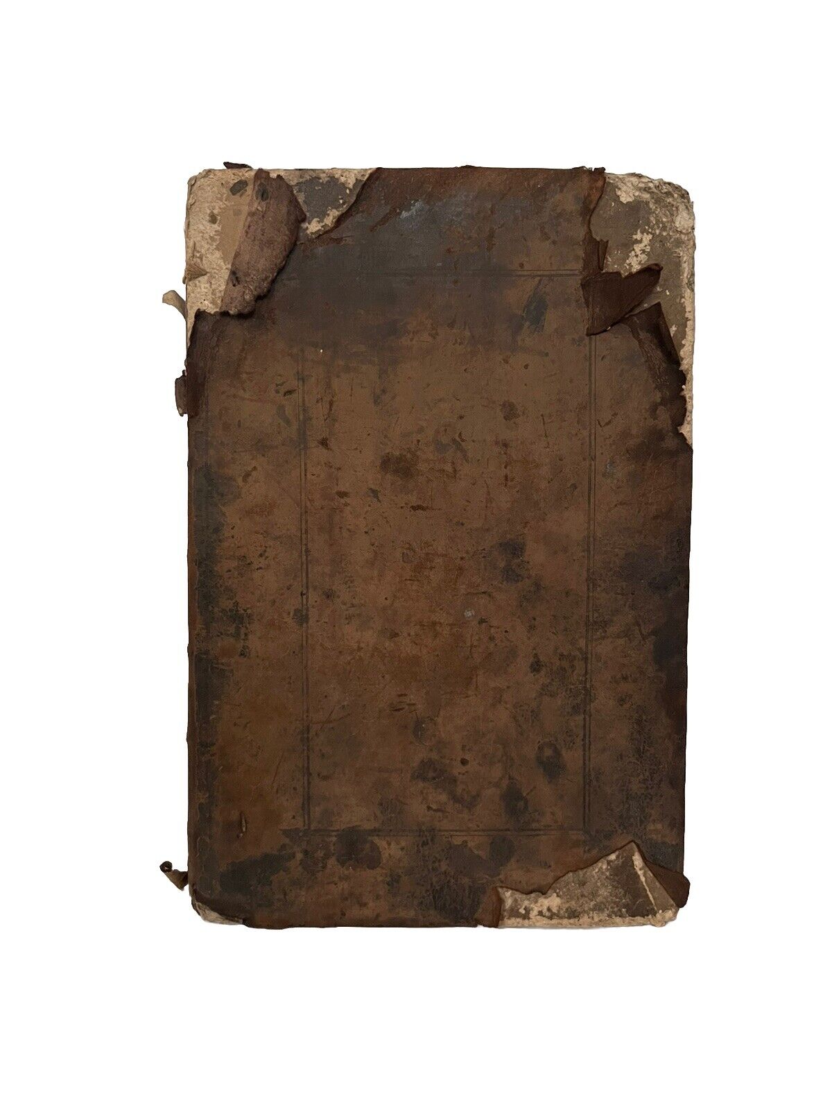 Hammond's Paraphrase upon the New Testament 1653
