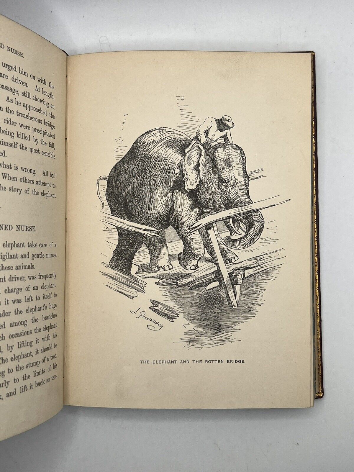 Stories of the Sagacity of Animals by W. Kingston 1892