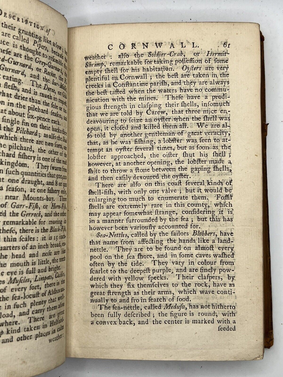 A Description of England and Wales 1775