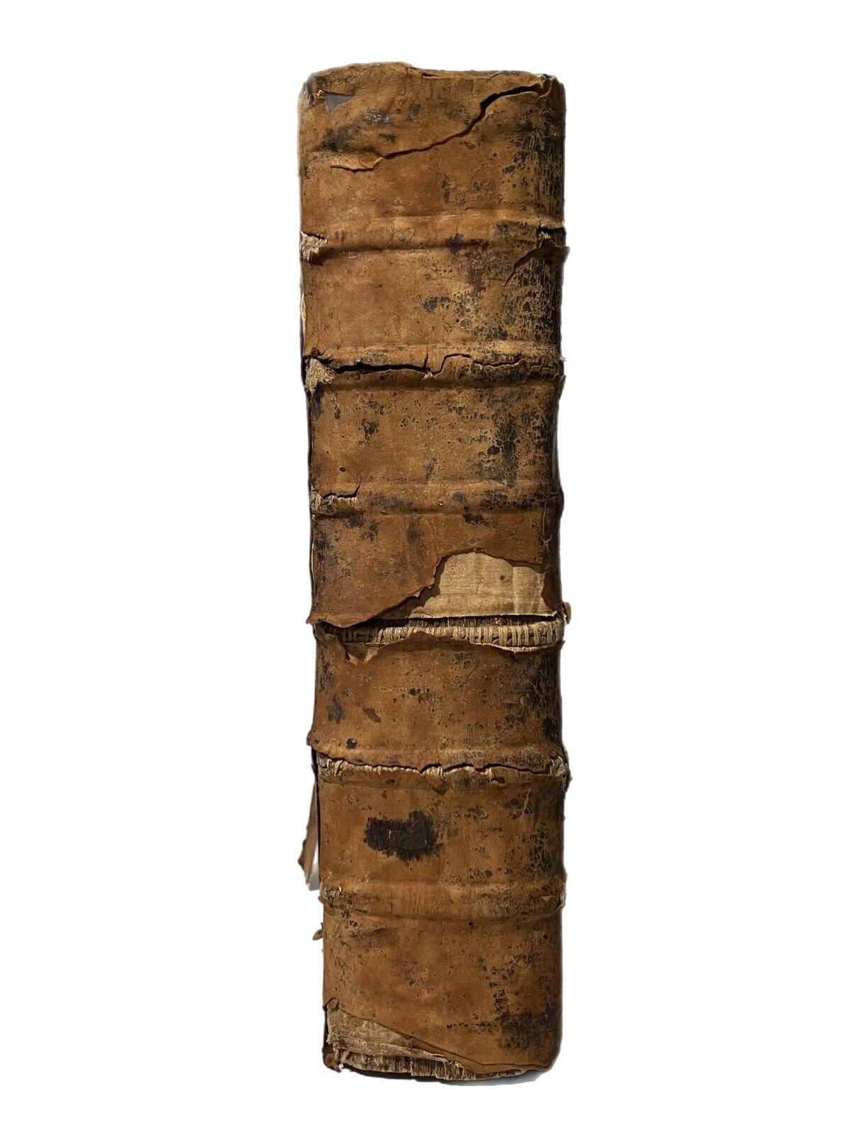 Antique King James Bible 1685