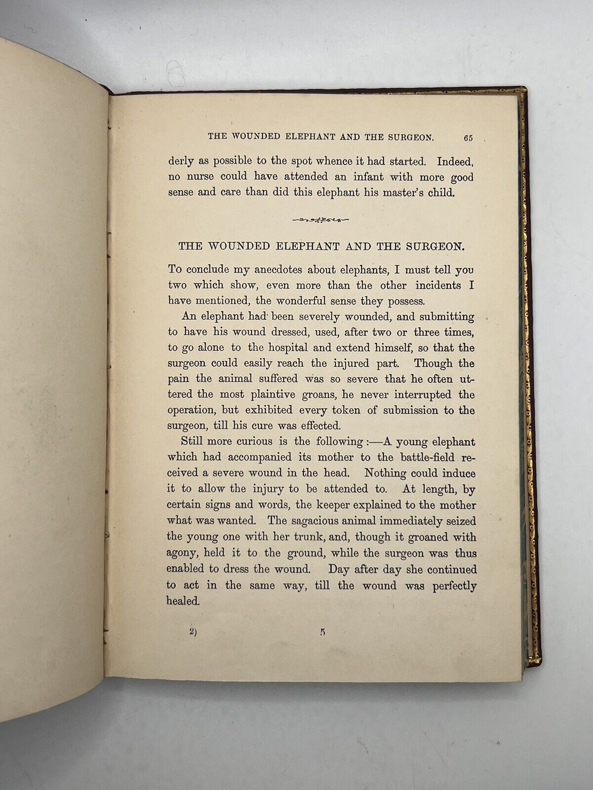 Stories of the Sagacity of Animals by W. Kingston 1892