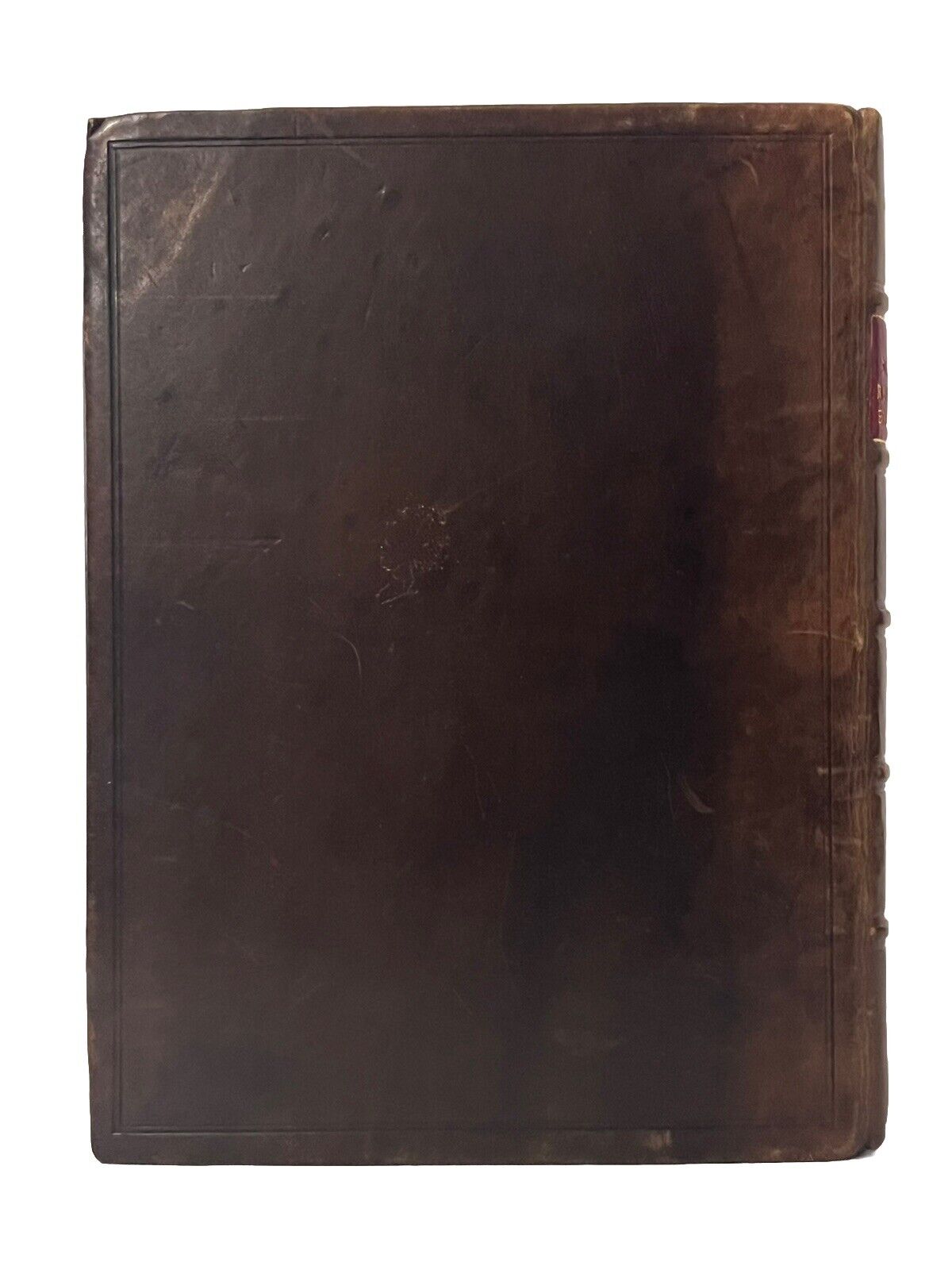 The Divine Right of Church-Government 1646