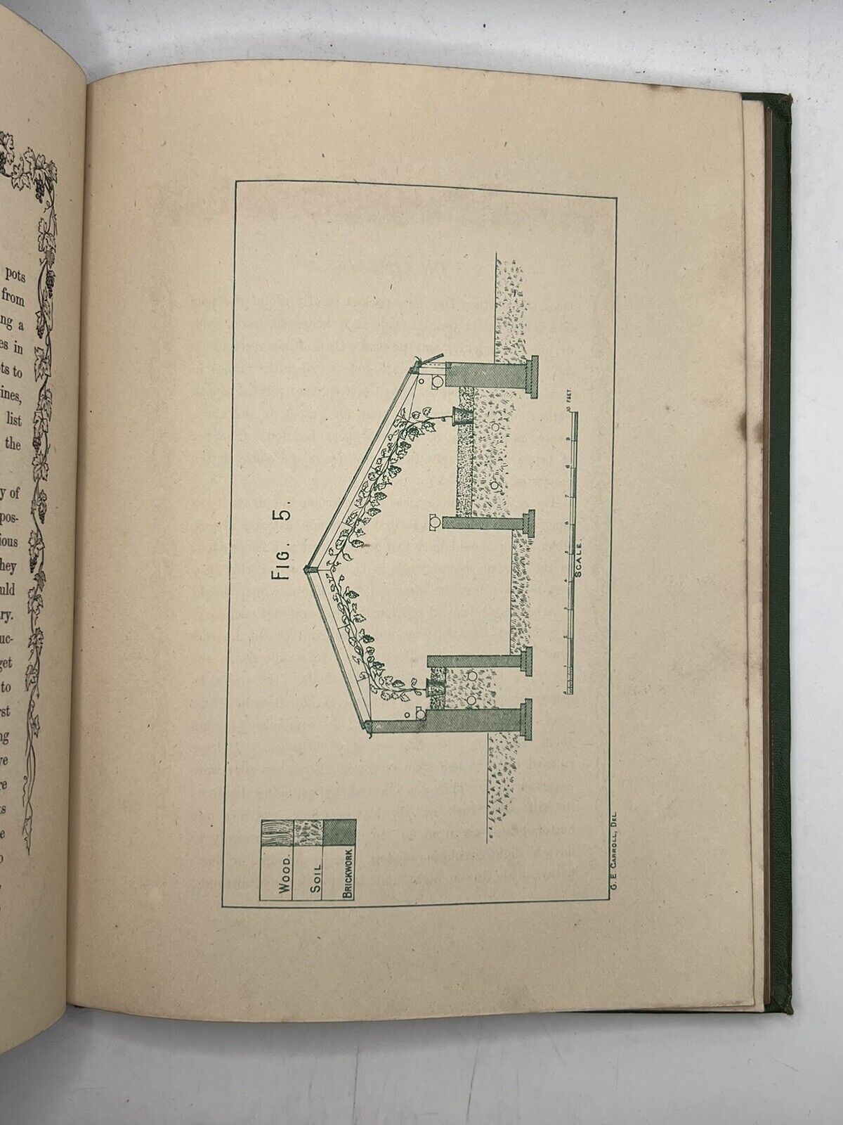 The Grape Vine by Joseph Meredith 1876 First Edition