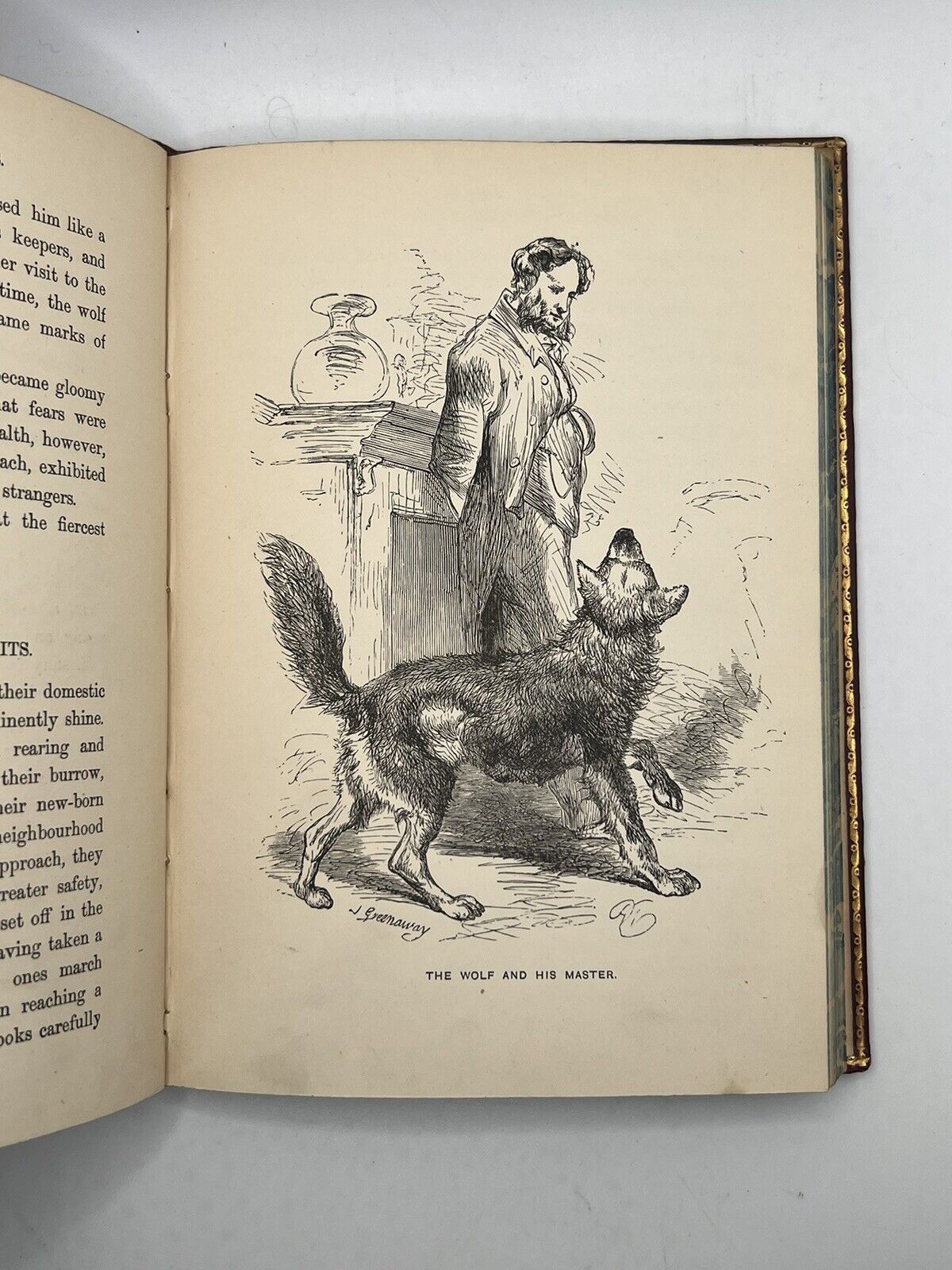 Stories of the Sagacity of Animals by W. Kingston 1892