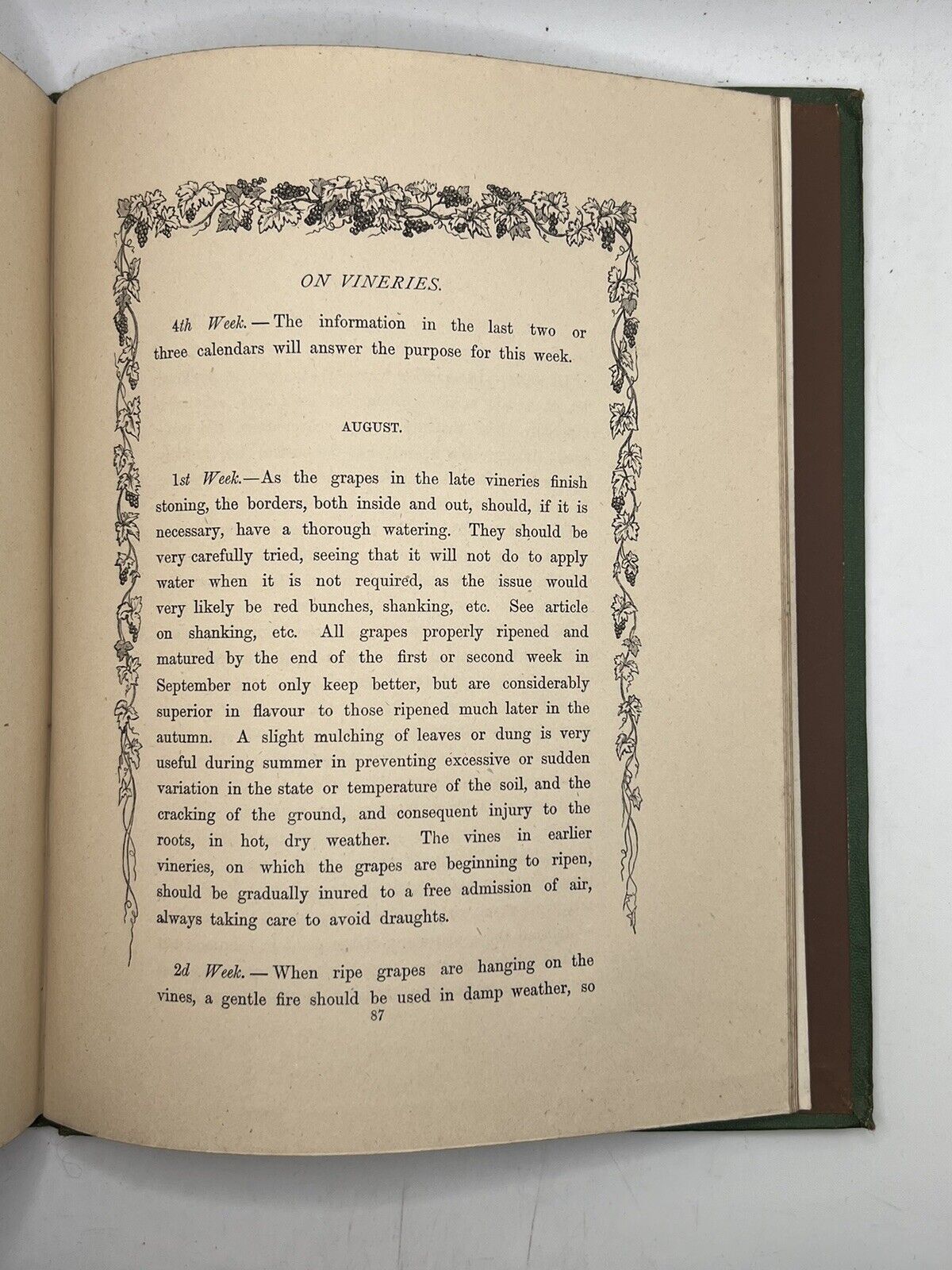 The Grape Vine by Joseph Meredith 1876 First Edition