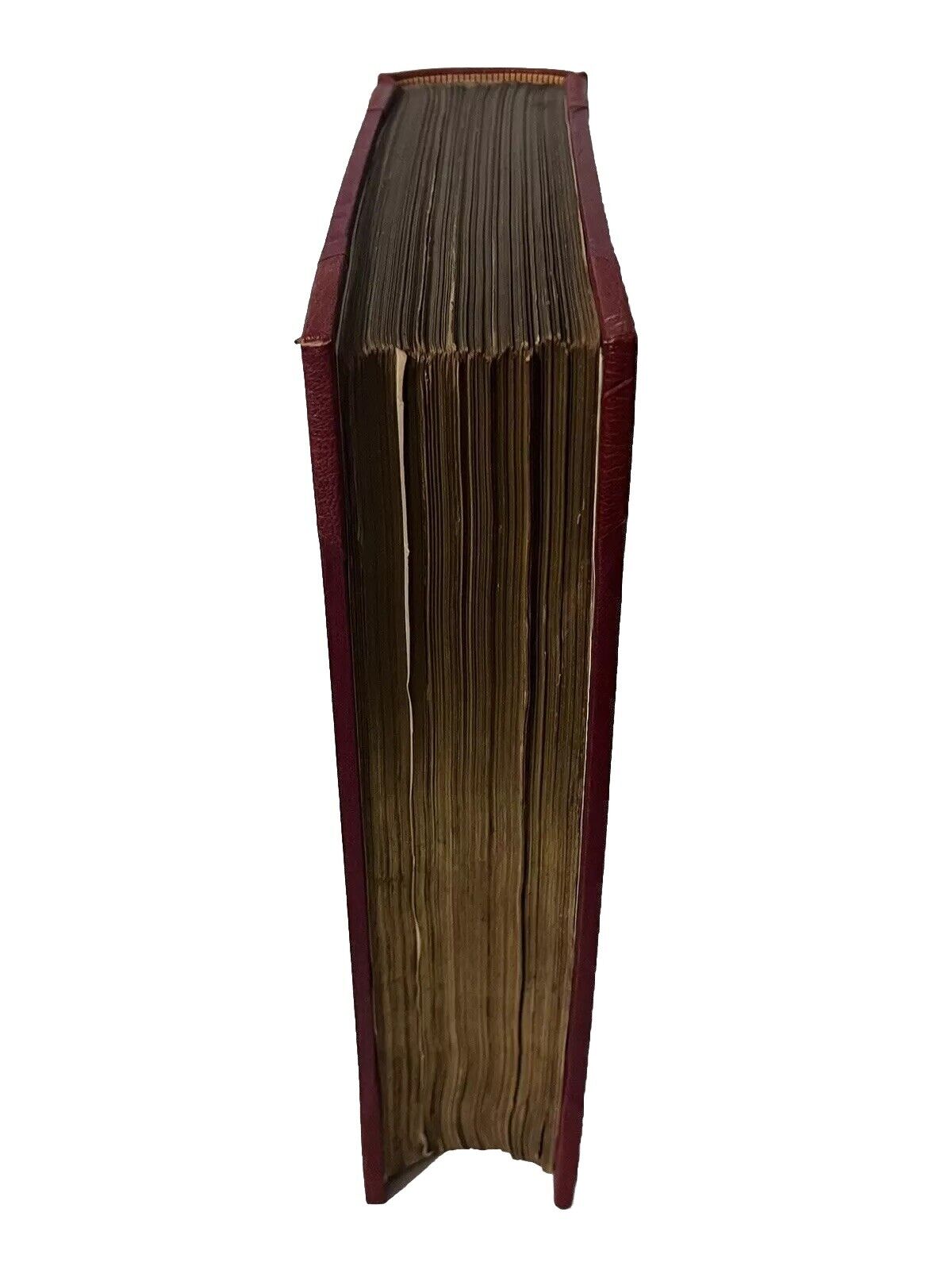 The Fables of La Fontaine by Gustave Dore