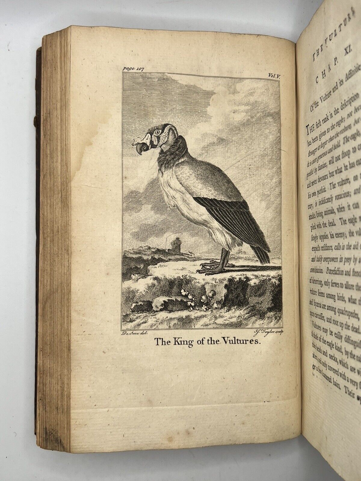 The History of the Earth and Animated Nature 1774 Oliver Goldsmith First Edition