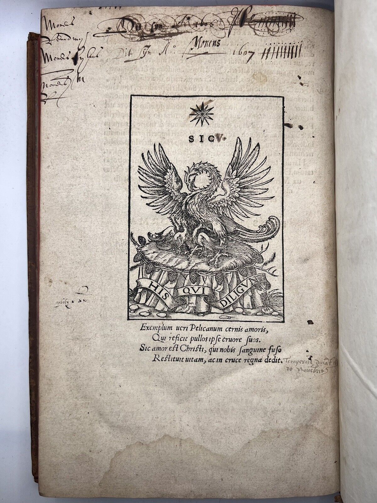 The Chronicles of Martin Luther 1549 Post Incunable