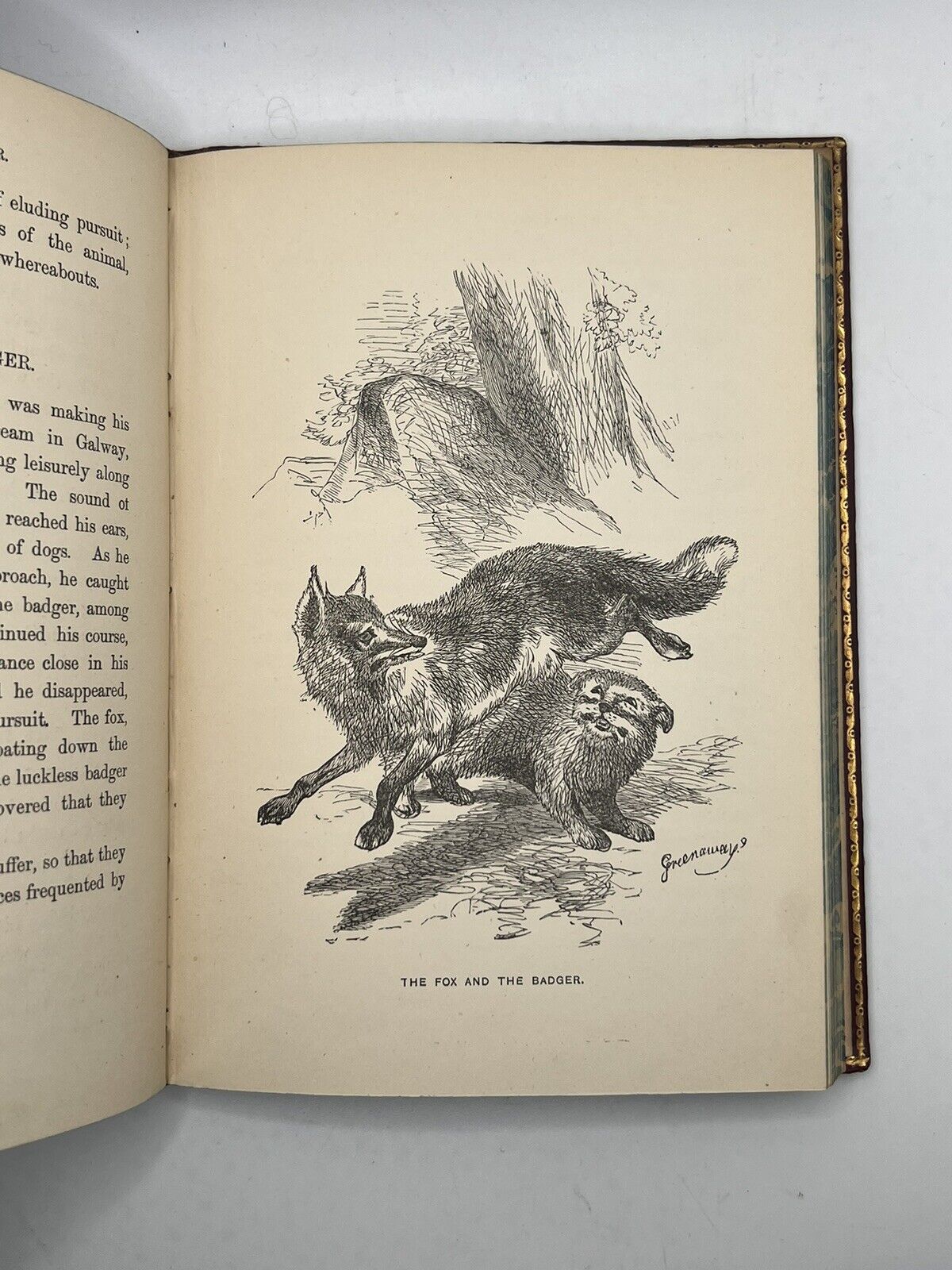 Stories of the Sagacity of Animals by W. Kingston 1892