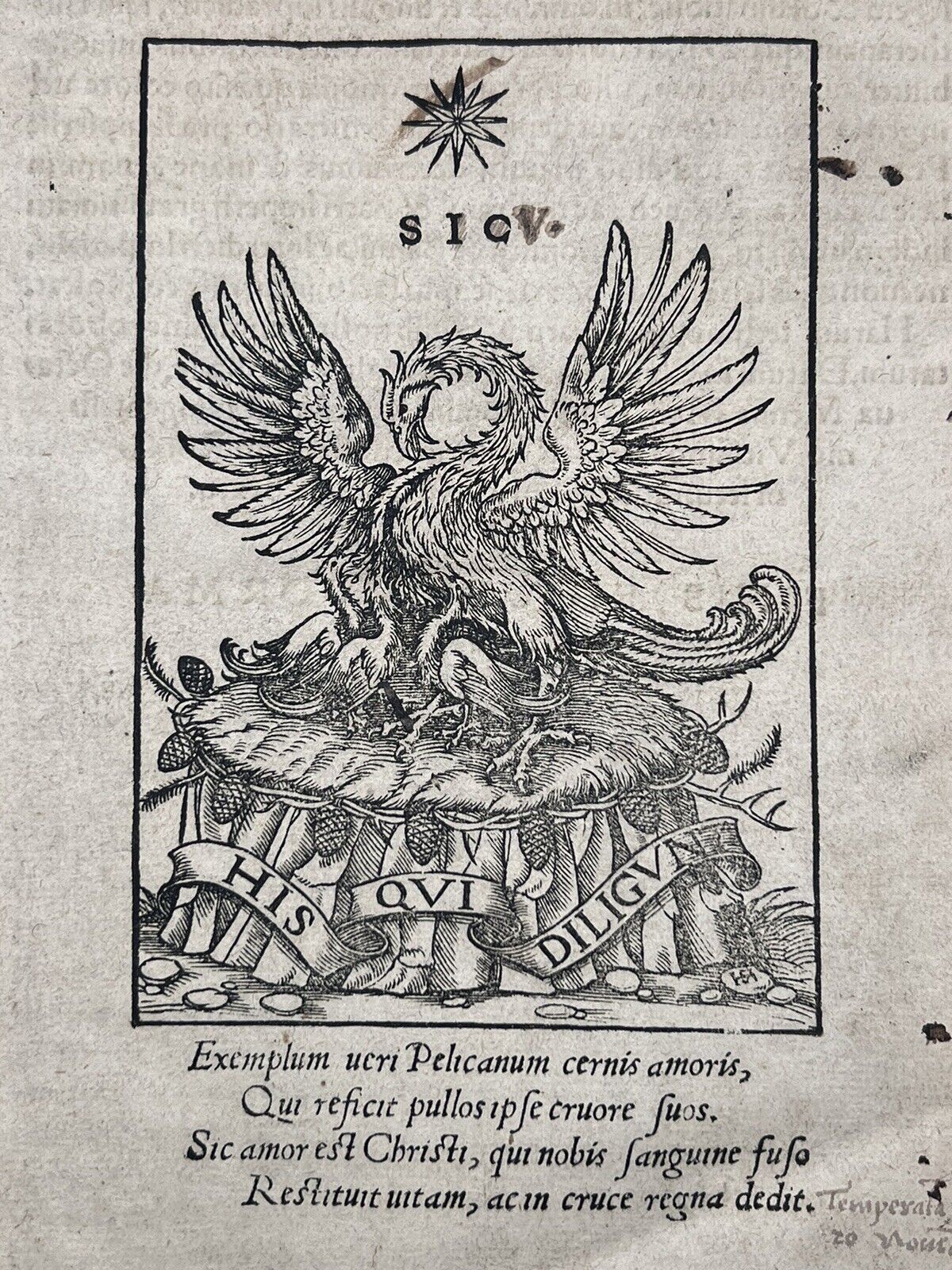 The Chronicles of Martin Luther 1549 Post Incunable