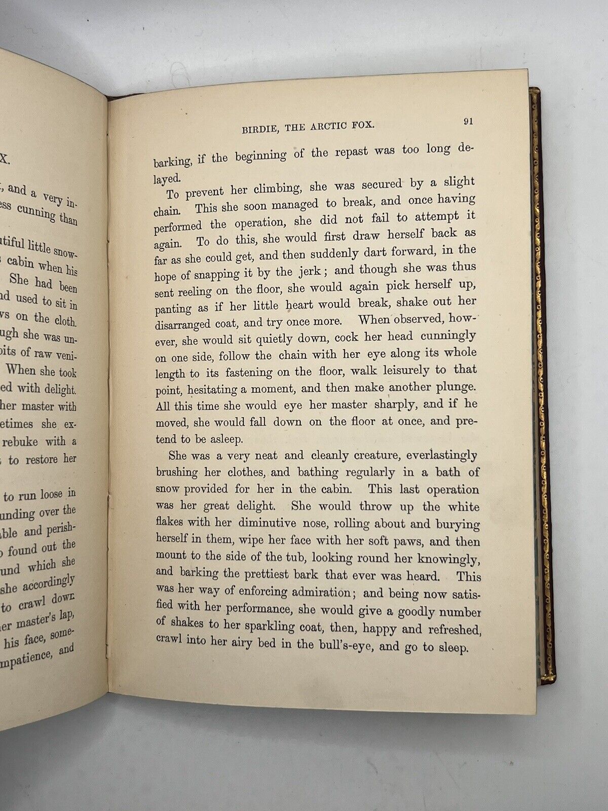 Stories of the Sagacity of Animals by W. Kingston 1892